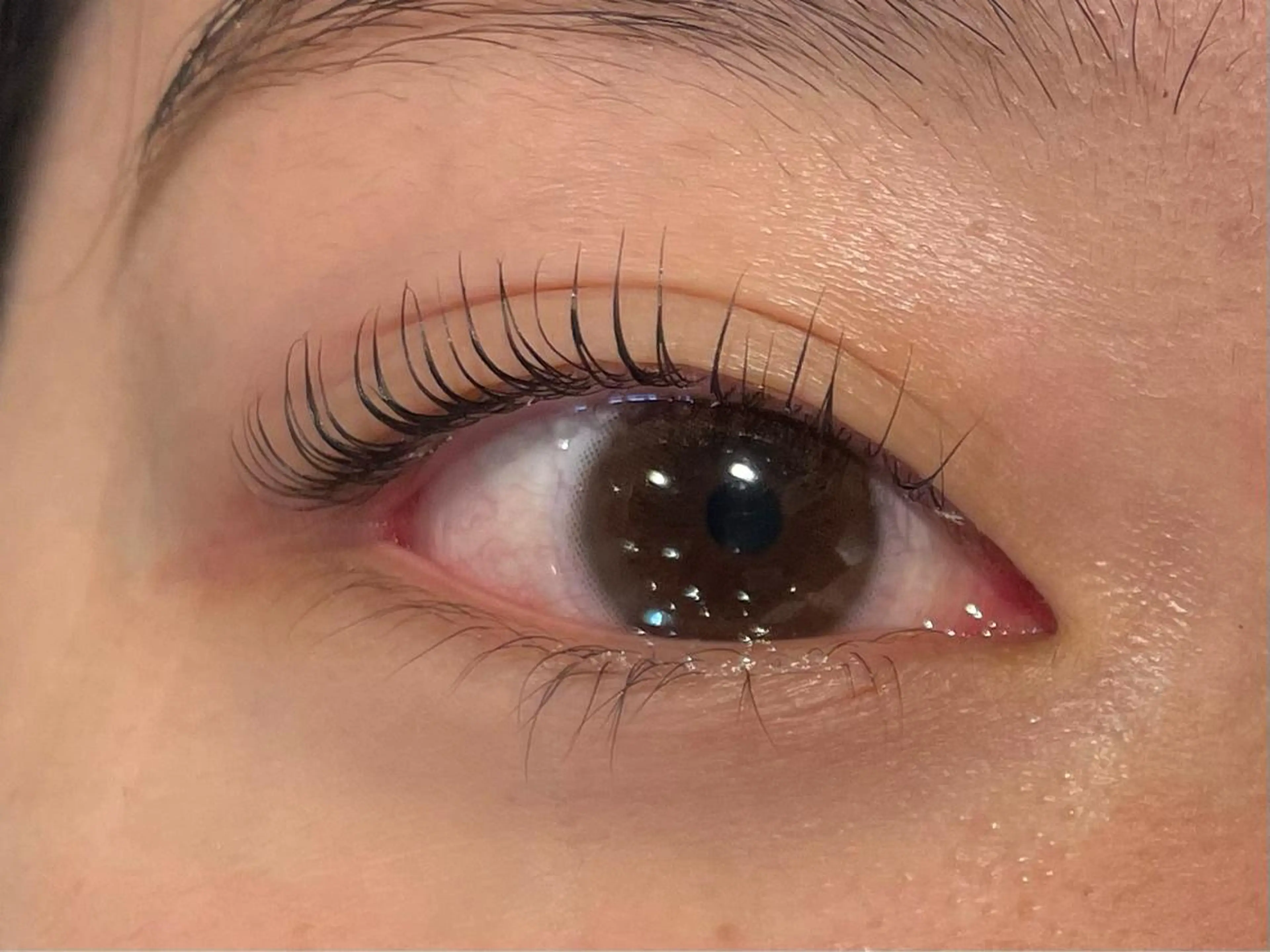 マツエク・マツパ Angelica Michelleのマツエク・マツパデザイン