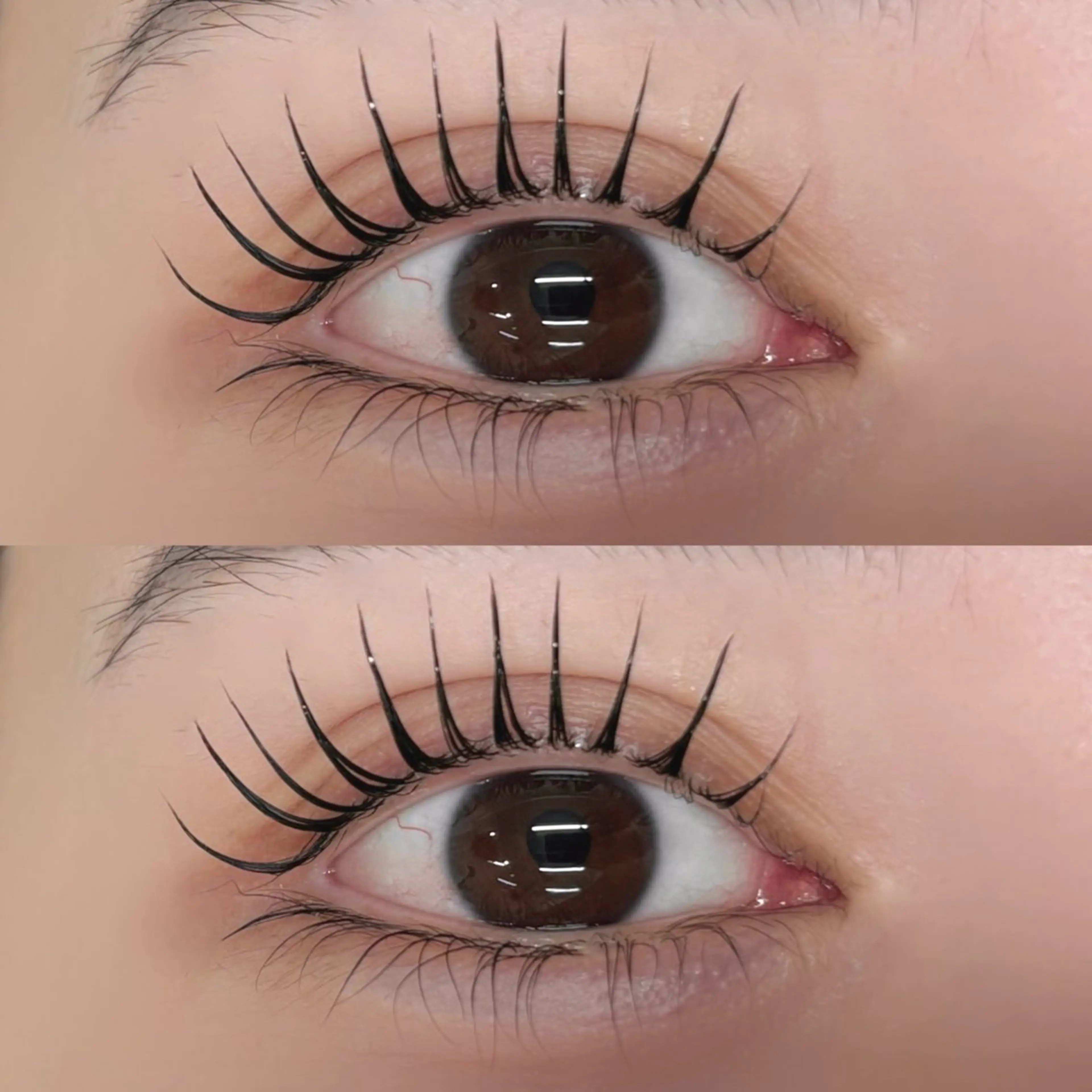 🌷ラッシュアディクトプレゼント🌷➕まつげパーマの写真