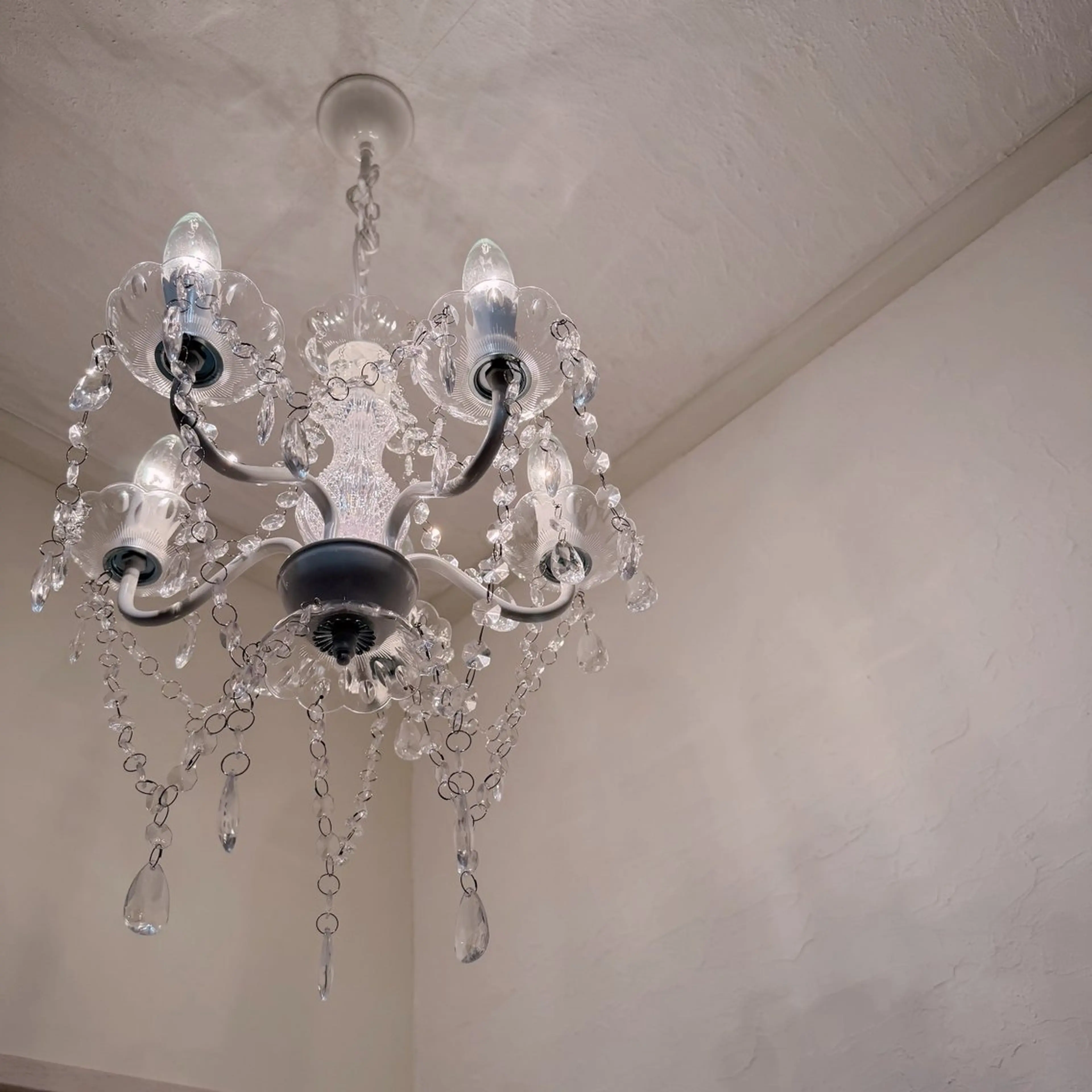 スカルプオフの写真