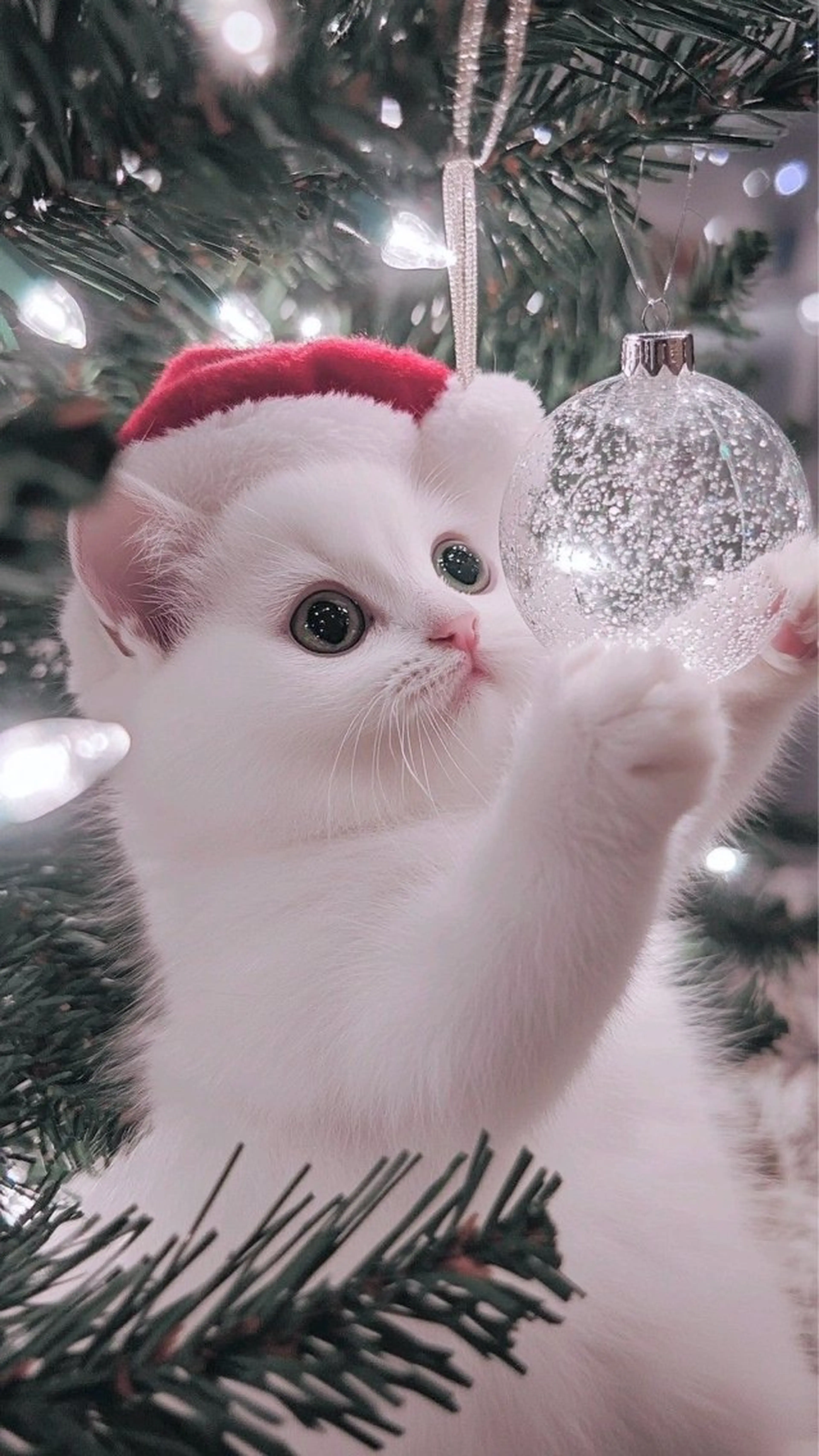 マツエク・マツパ eyelist. mizuki🐈‍⬛の眉毛・アイブロウイメージ