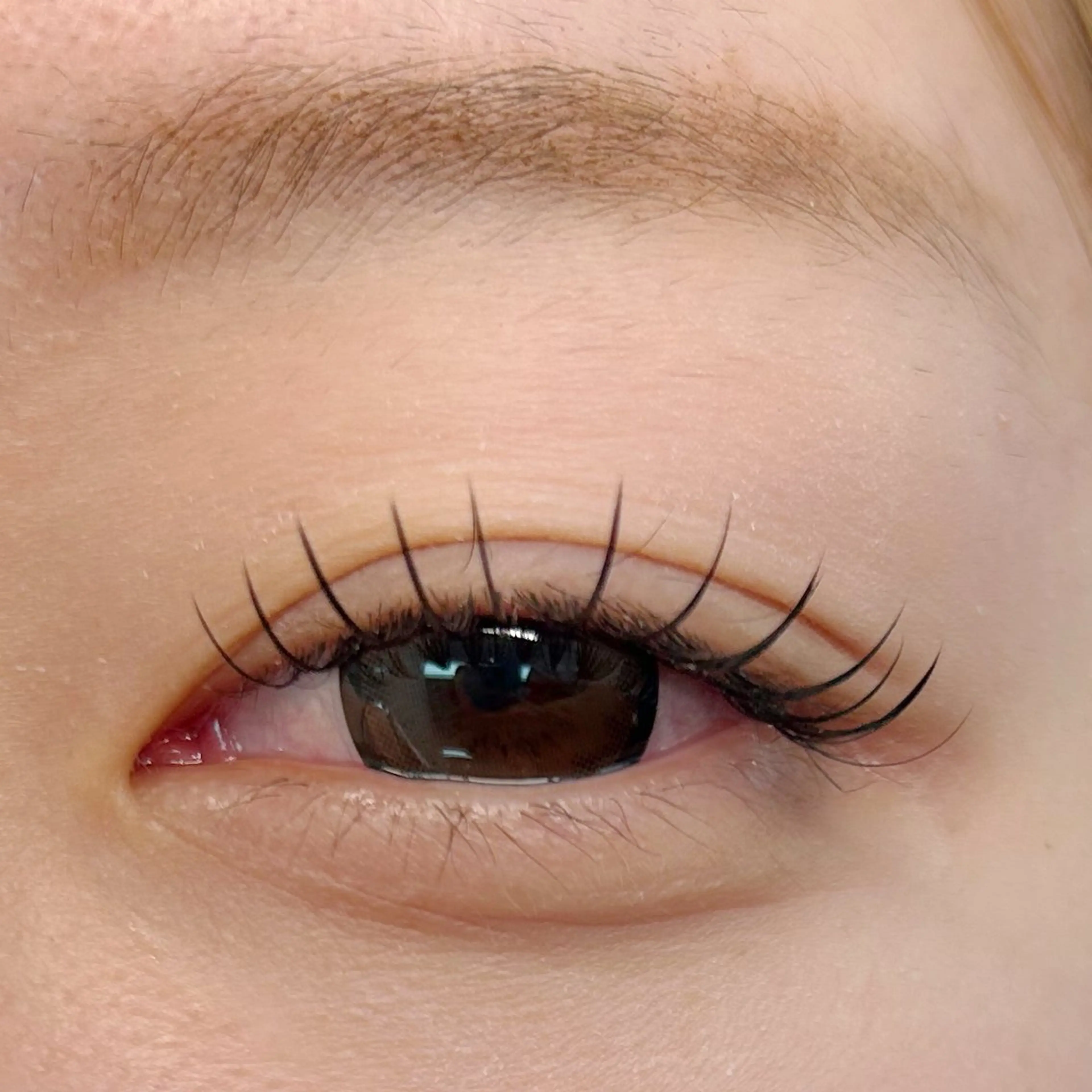 マツエク・マツパ ひがし 🐰🤍のマツエク・マツパデザイン