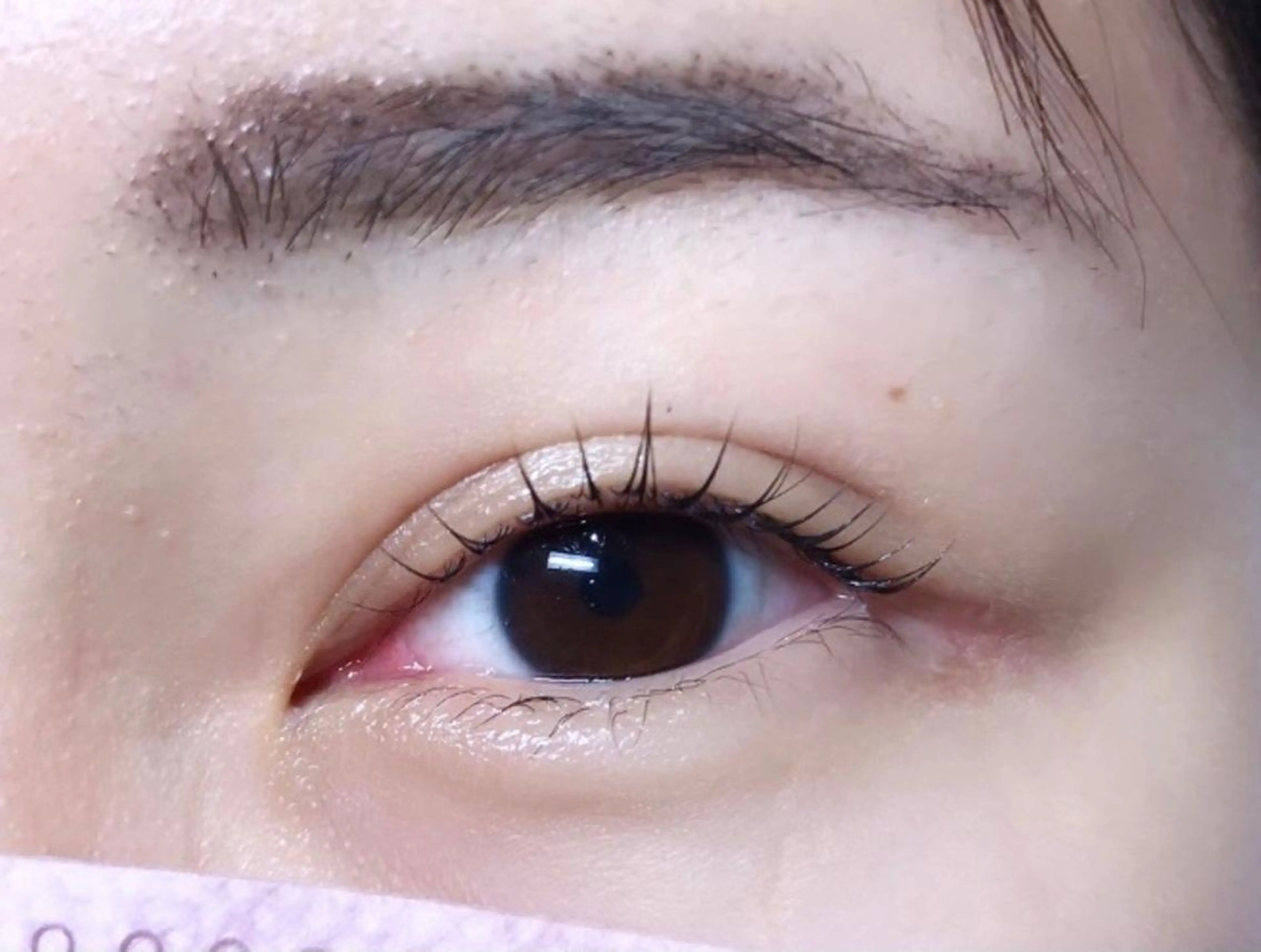 マツエク・マツパ パリジェンヌラッシュリフト eyelist / nana🌱のマツエク・マツパデザイン