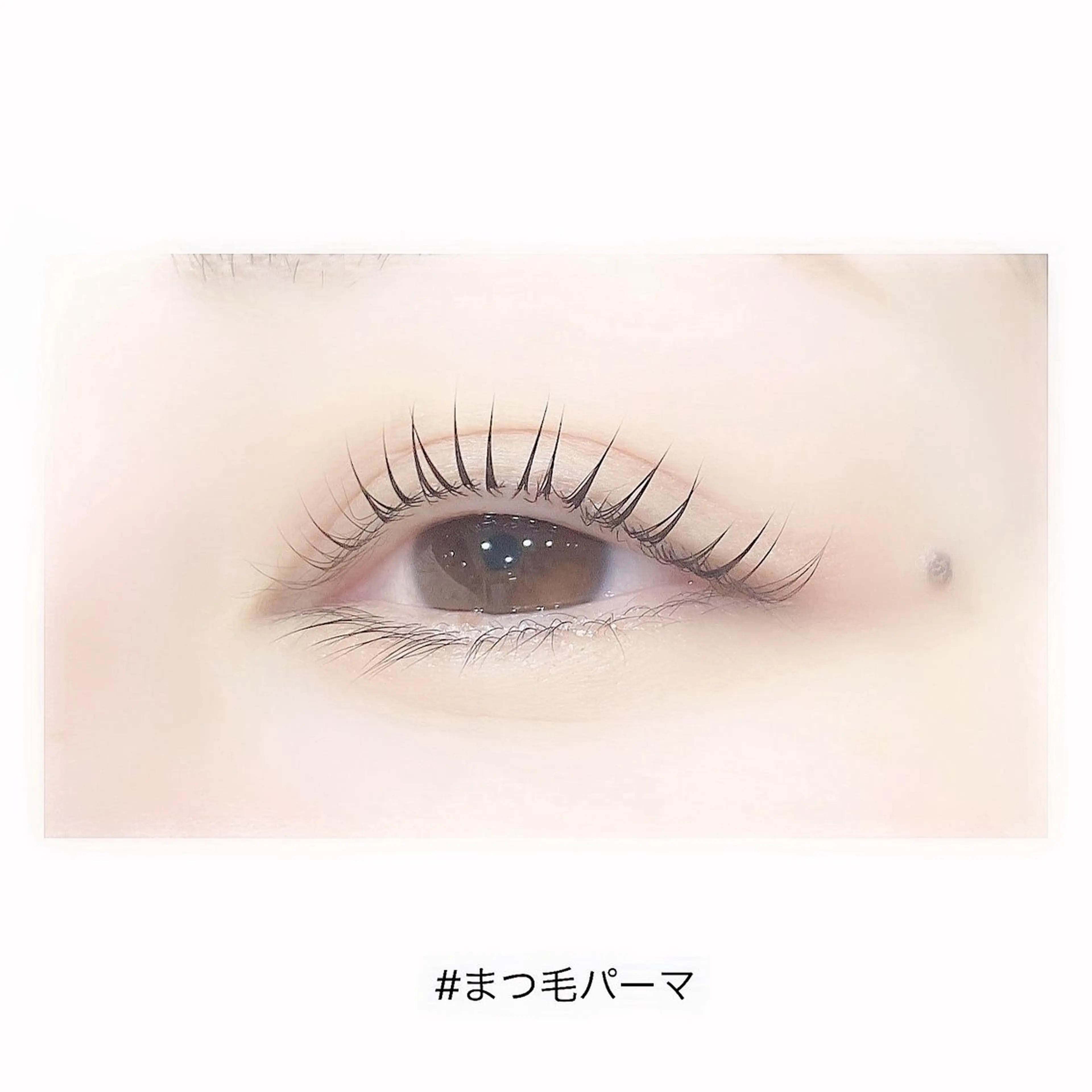 マツエク・マツパ 安江 翼のマツエク・マツパデザイン