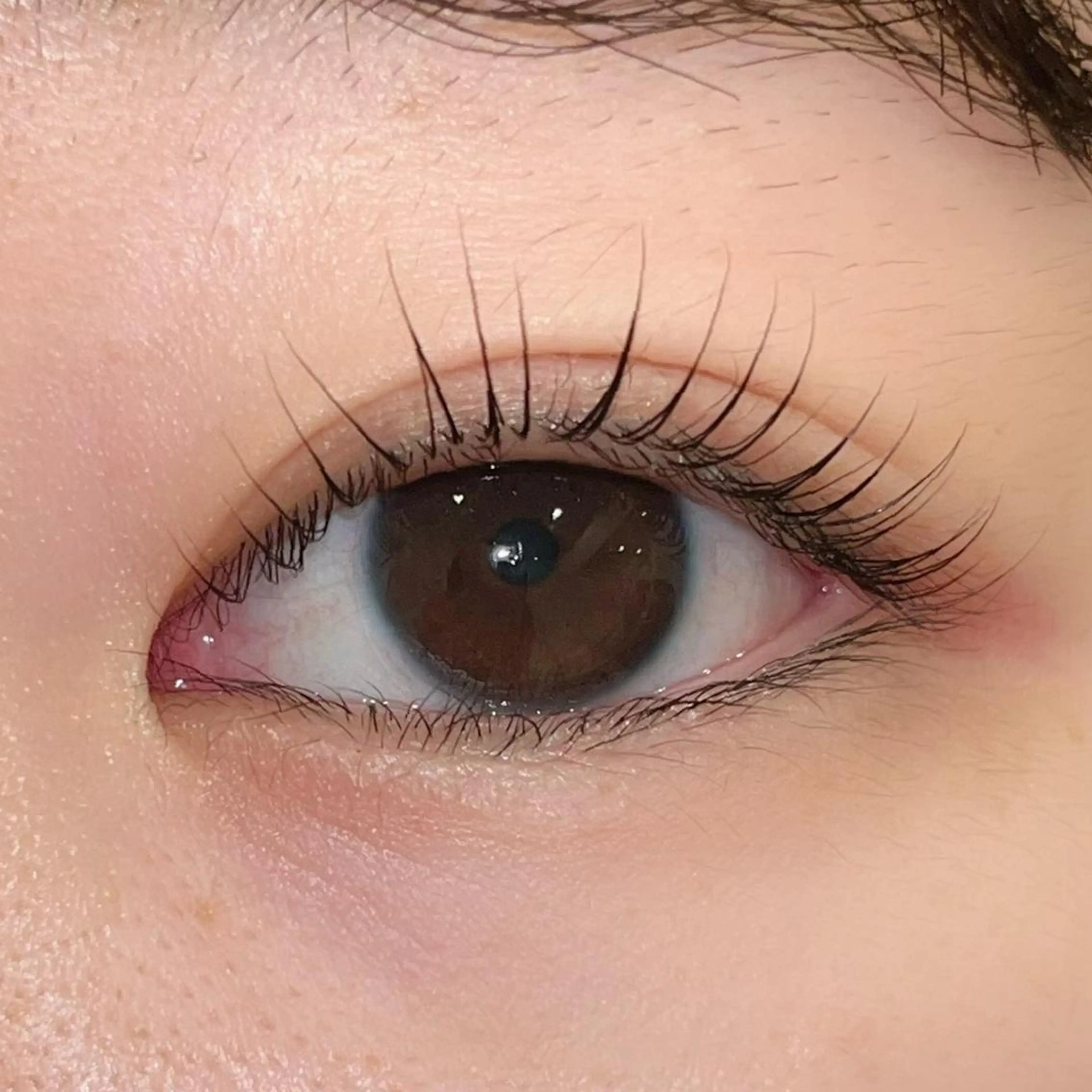 マツエク・マツパ パリジェンヌラッシュリフト まつげパーマ ai一重専門🎀束感 まつげ🫧表参道のマツエク・マツパデザイン