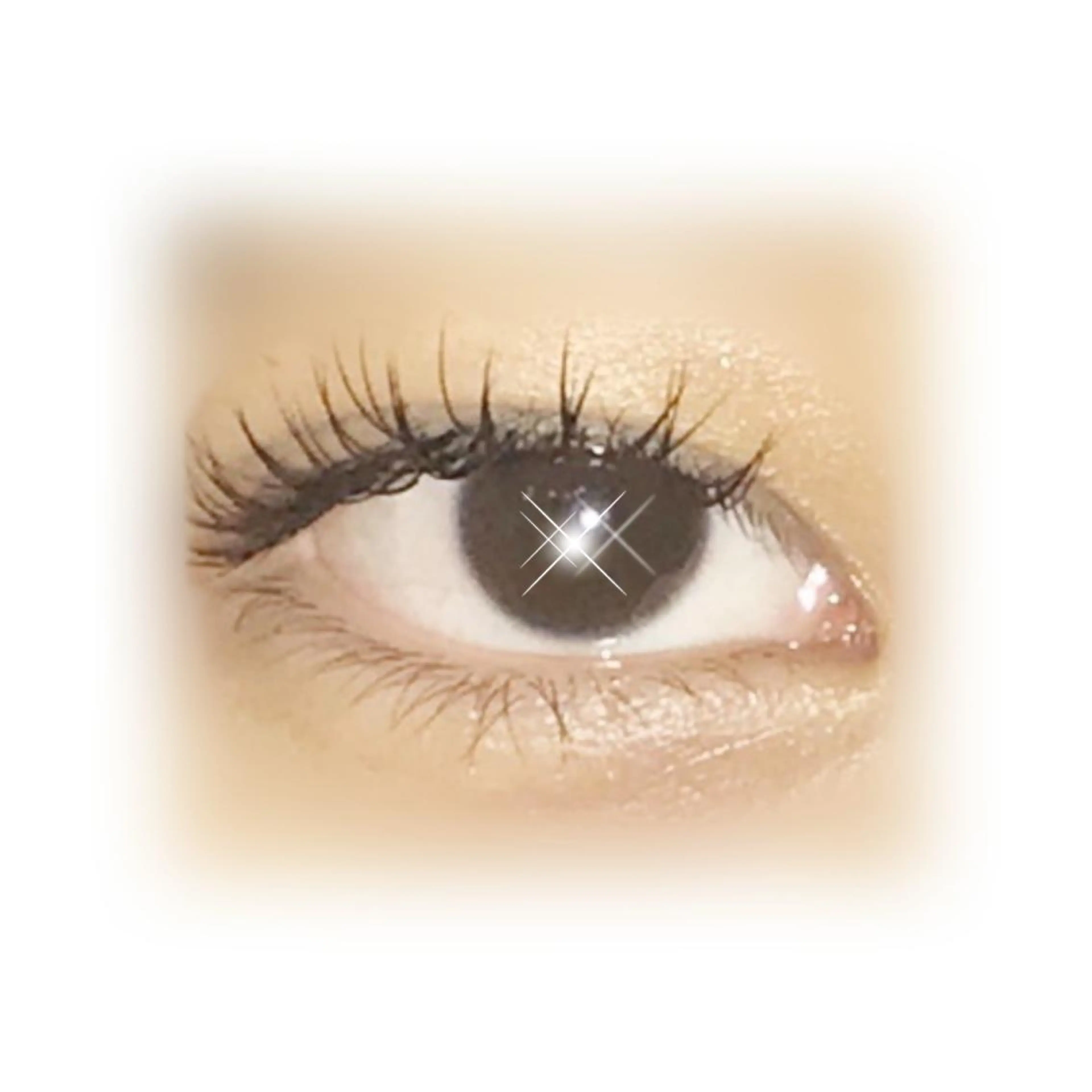 マツエク・マツパ Loops 目黒店所属・菅原 麻衣のマツエク・マツパデザイン