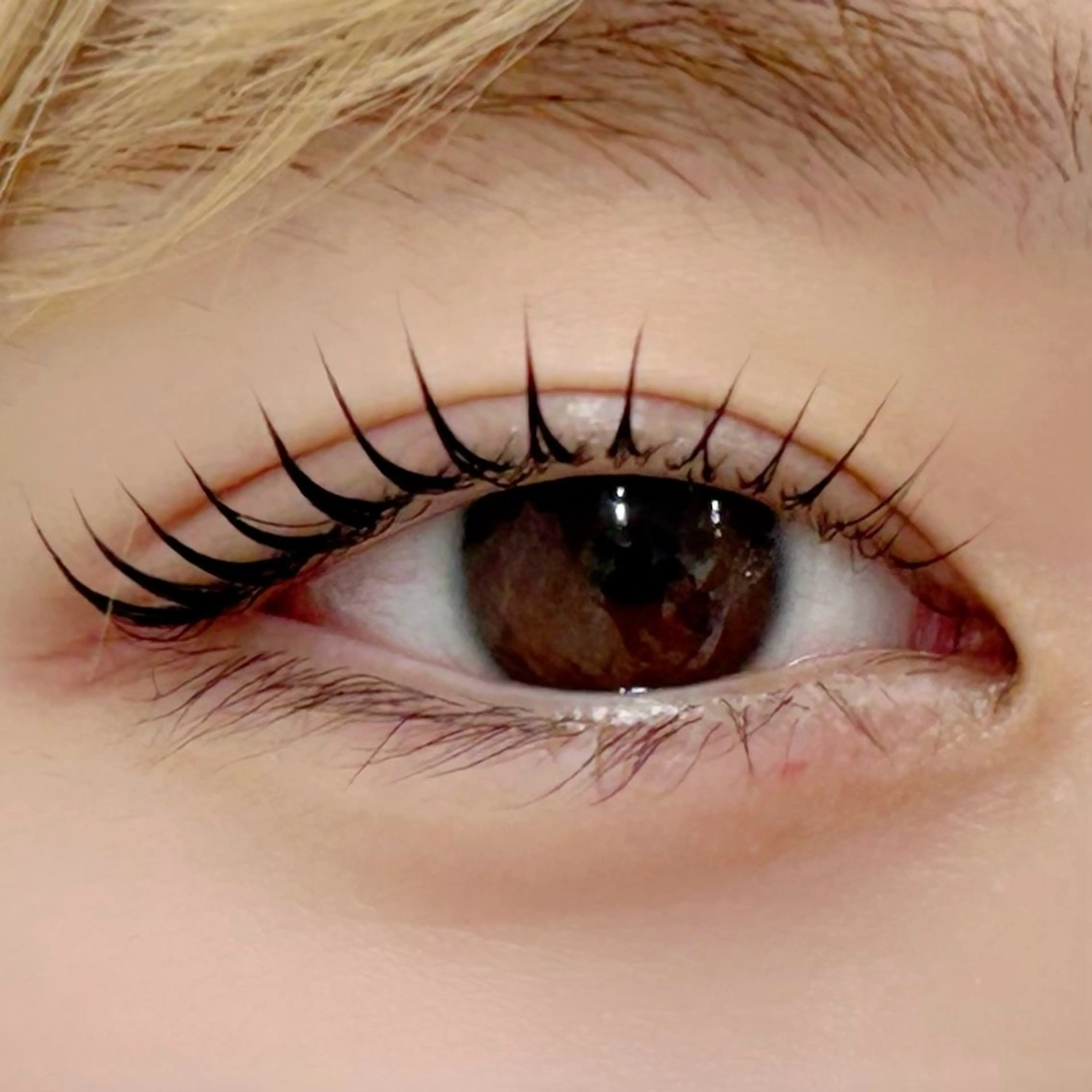 マツエク・マツパ パリジェンヌラッシュリフト 一重×まつ毛パーマ BellFlower Aki（眉・まつげ）のマツエク・マツパデザイン