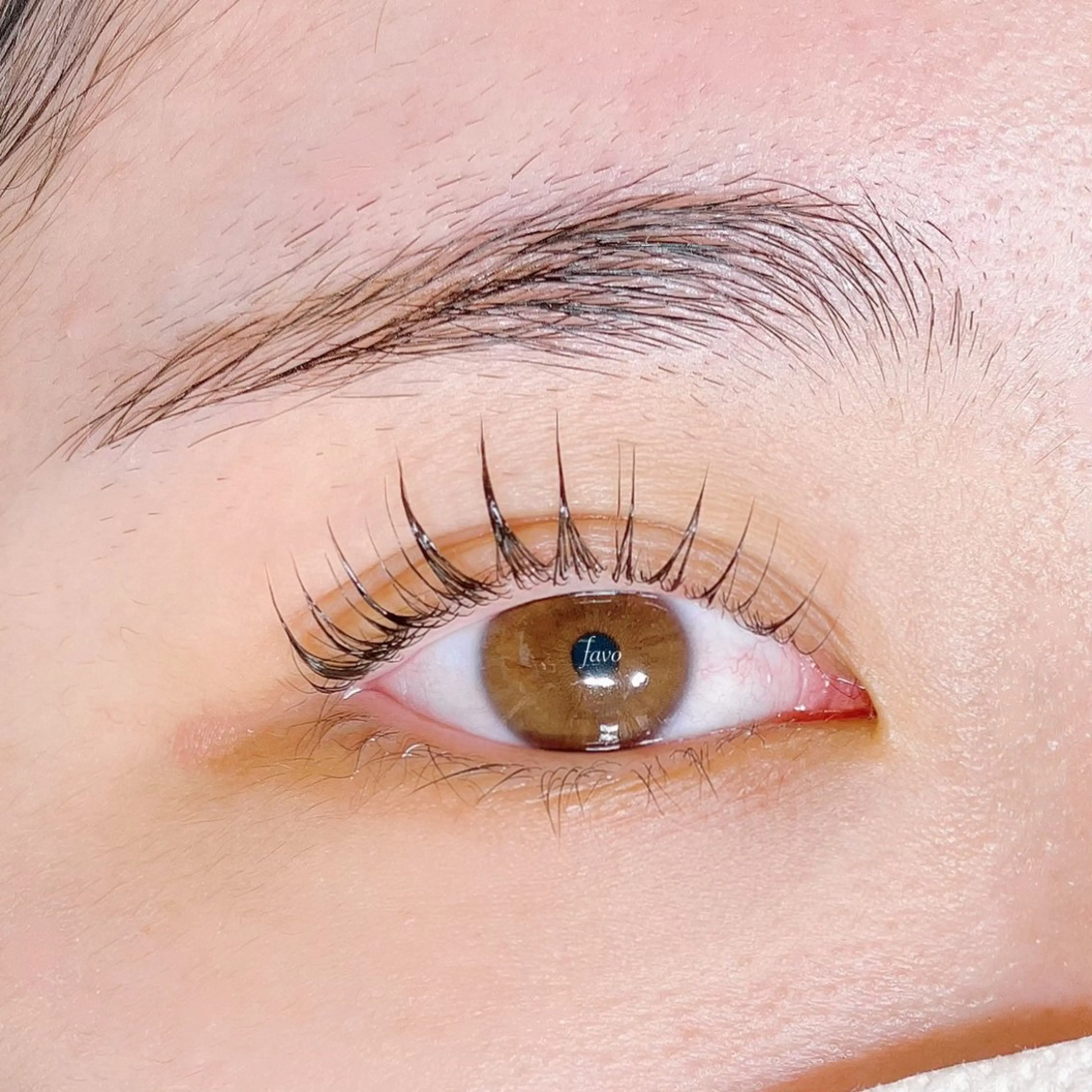 マツエク・マツパ マツパ ∞favo∞ eyelash🏝️のマツエク・マツパデザイン