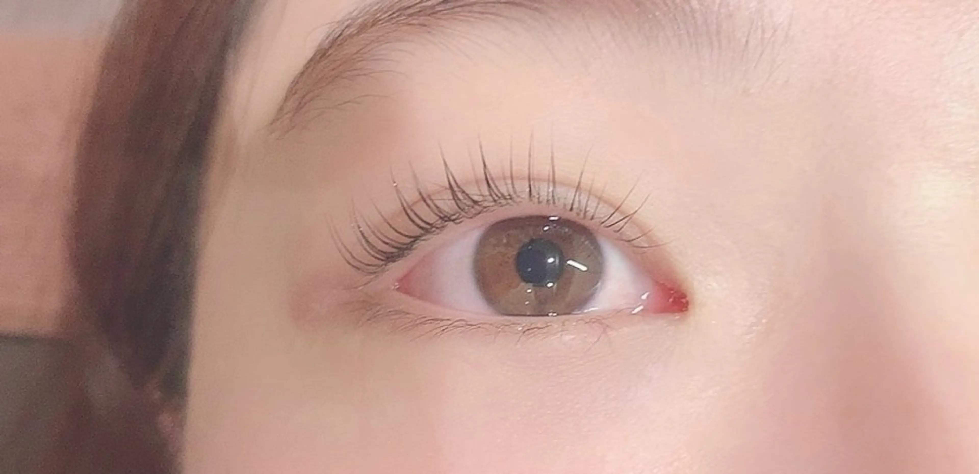 🤍すぐ予約限定🤍パリジェンヌorまつ毛パーマの写真