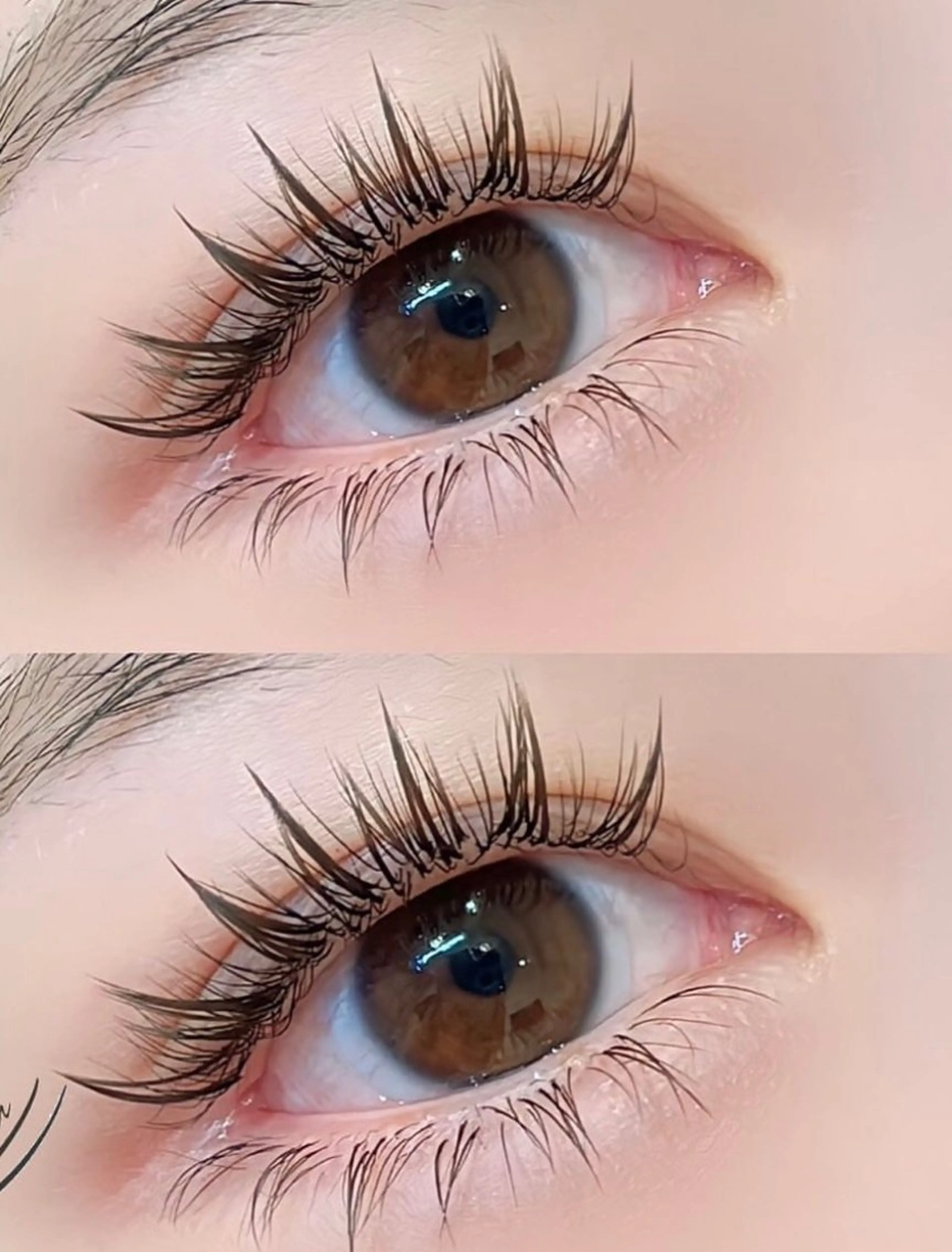 ワンホンボリュームラッシュ160束の写真