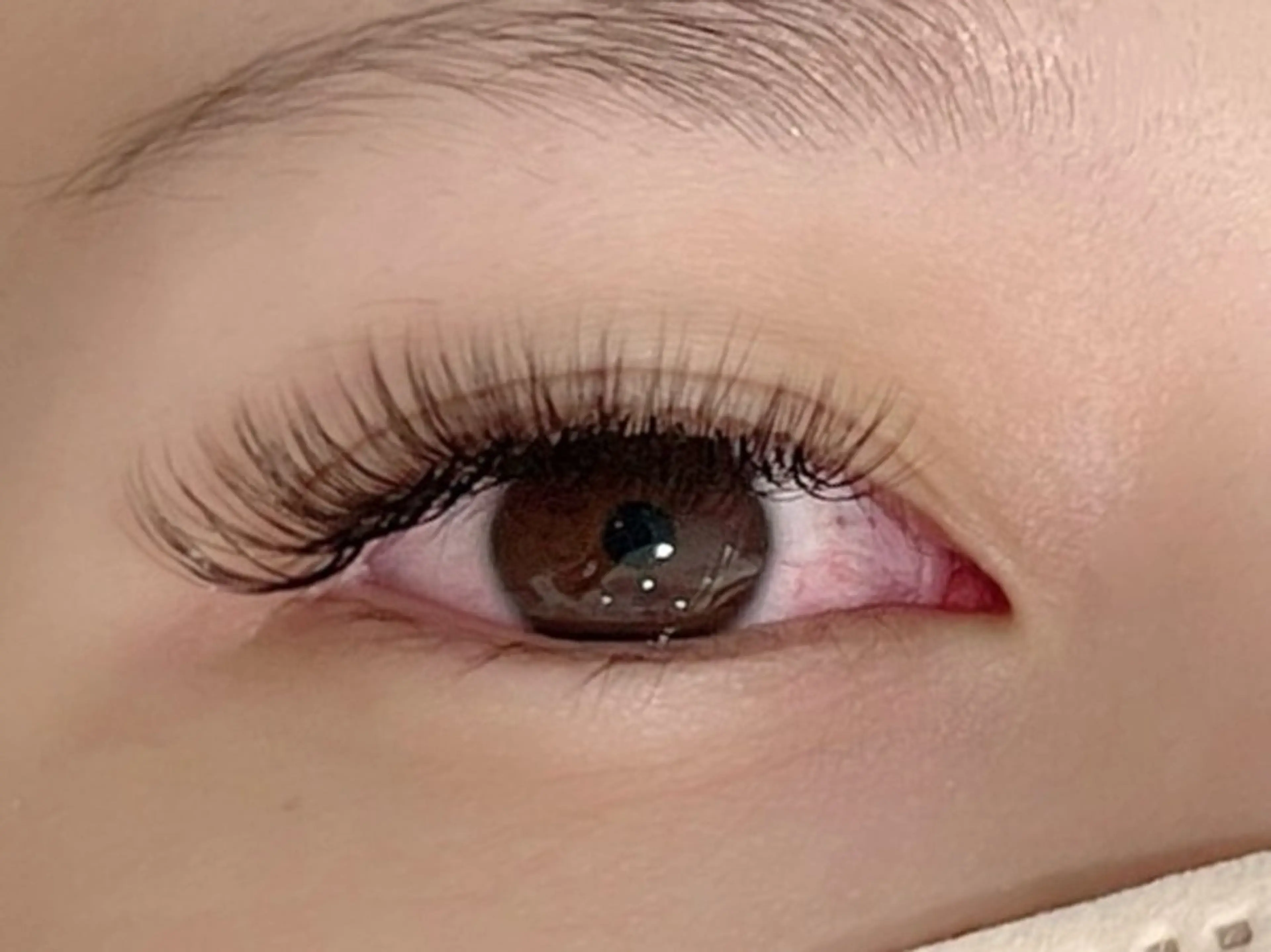 マツエク・マツパ CLALA ayumi🌸の眉毛・アイブロウイメージ