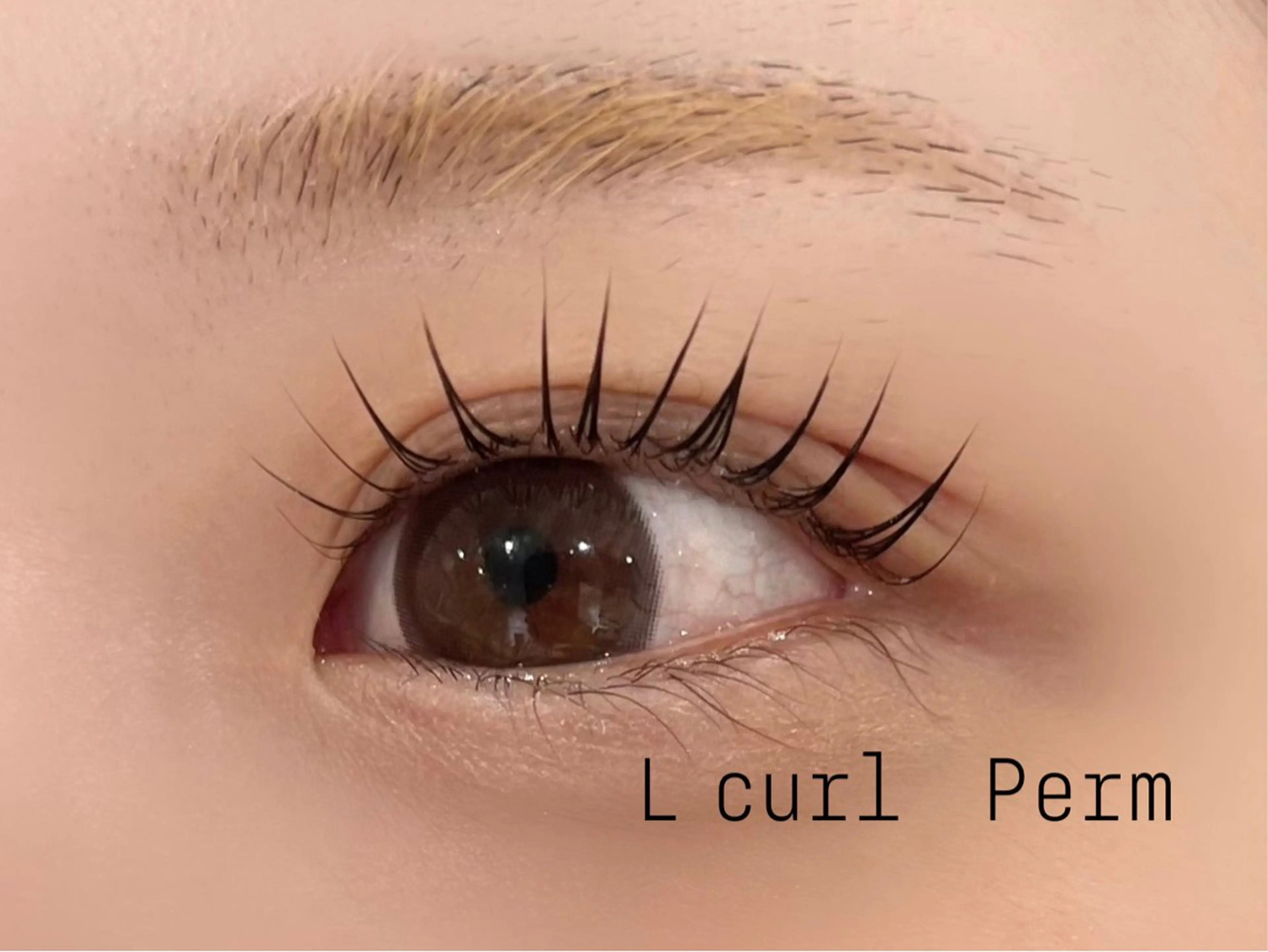 マツエク・マツパ eyelashZen ♥️HIMEのマツエク・マツパデザイン