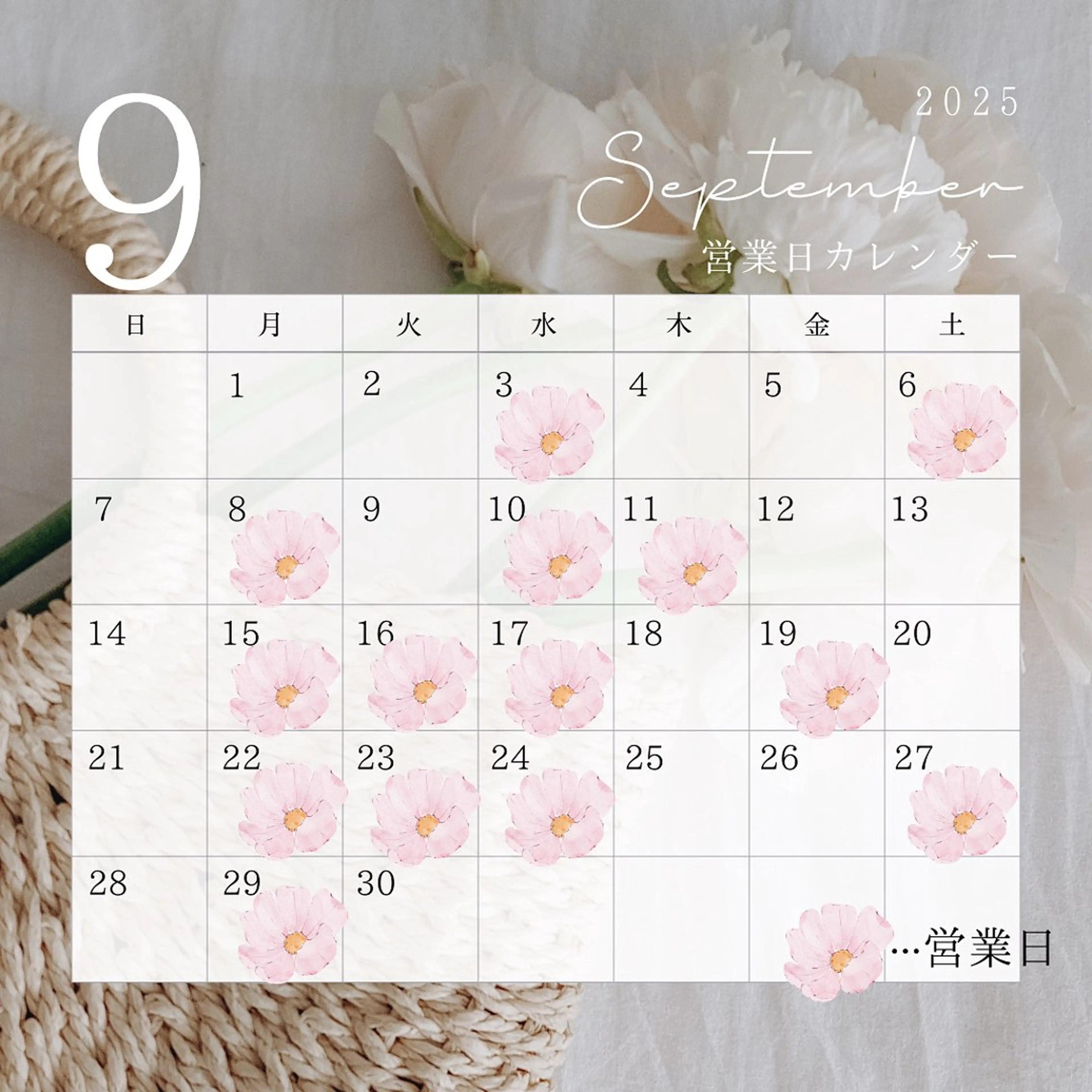 マツエク・マツパ Tani seikaのマツエク・マツパデザイン