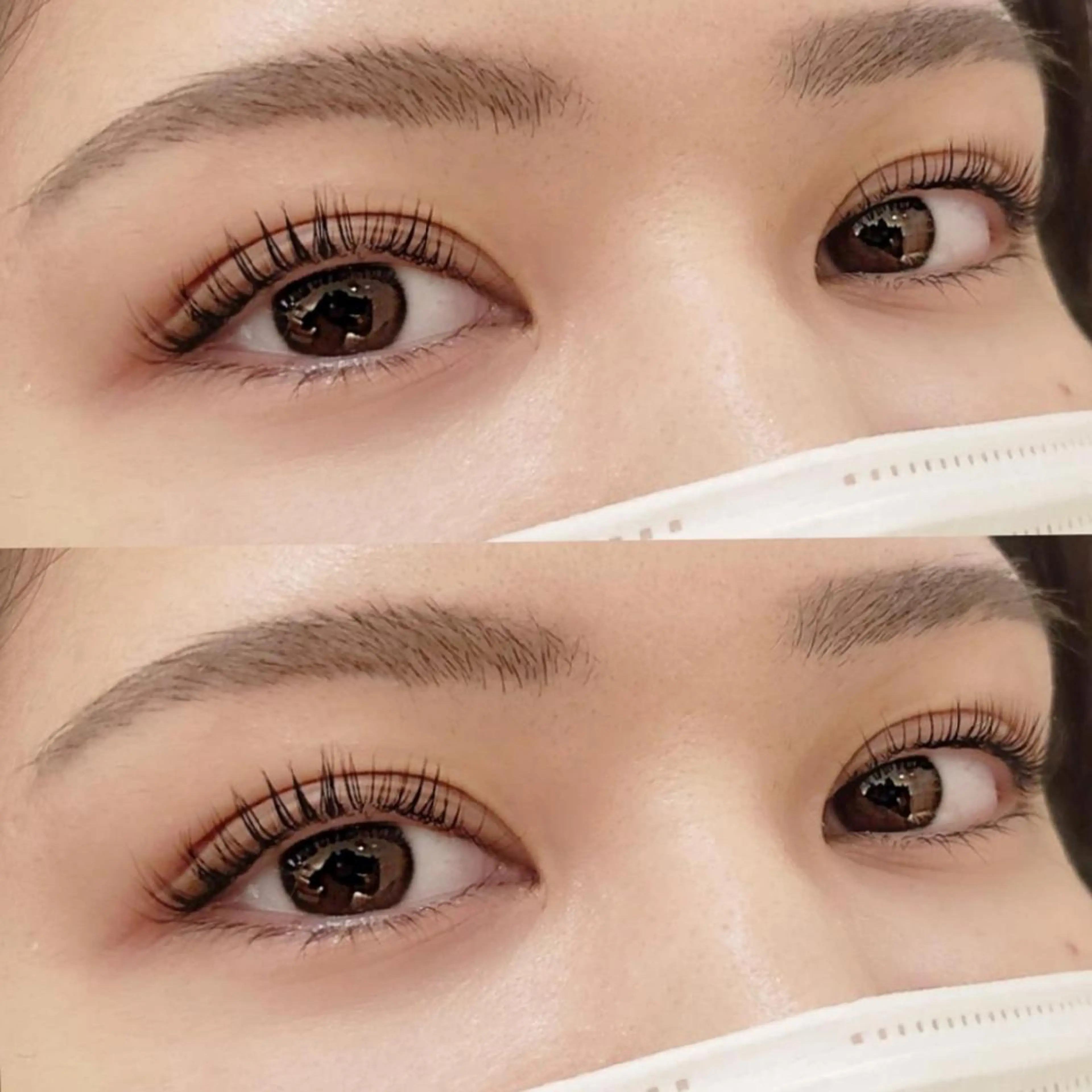 🦋ラッシュリフト&眉カット🦋の写真