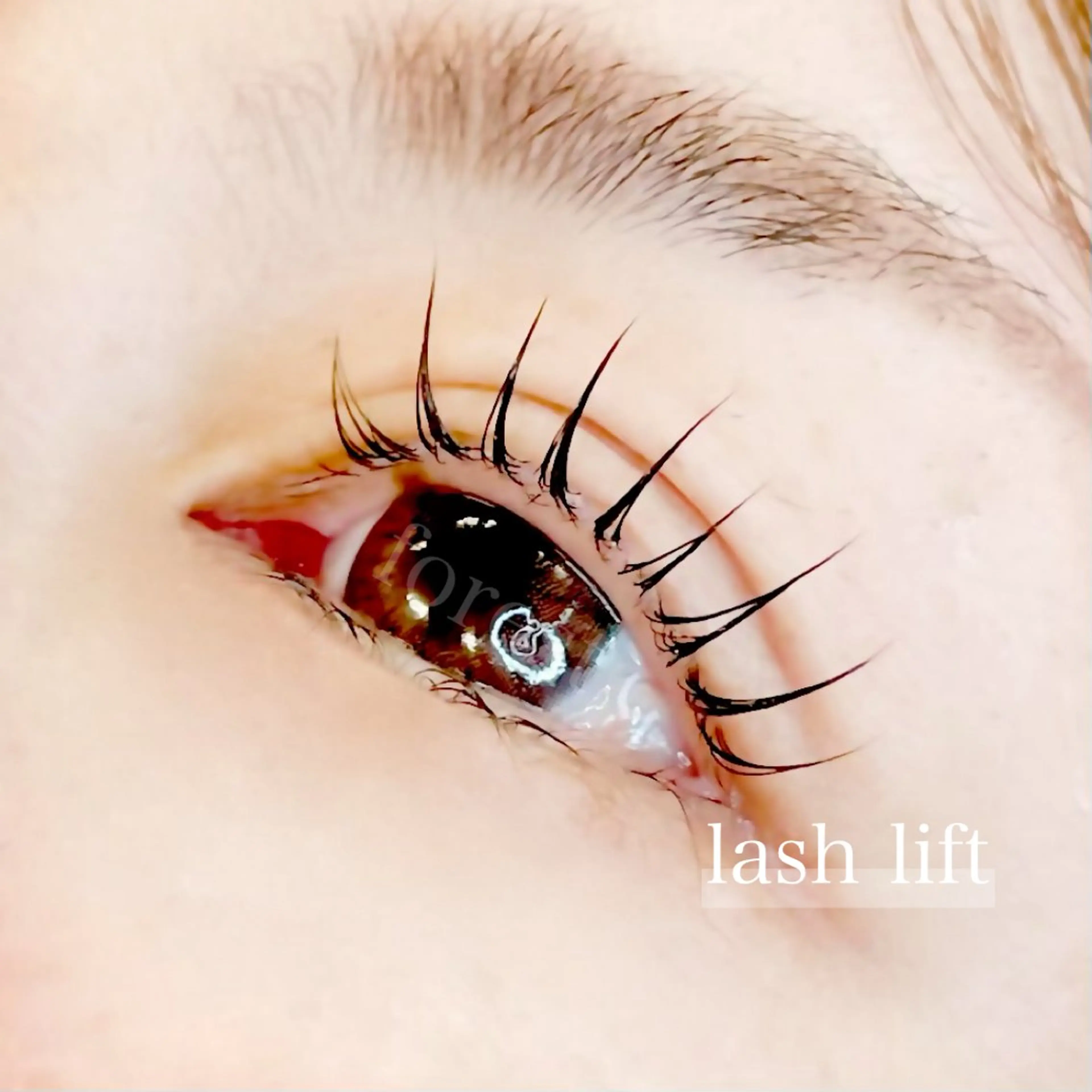 マツエク・マツパ eye forest sayakaのマツエク・マツパデザイン