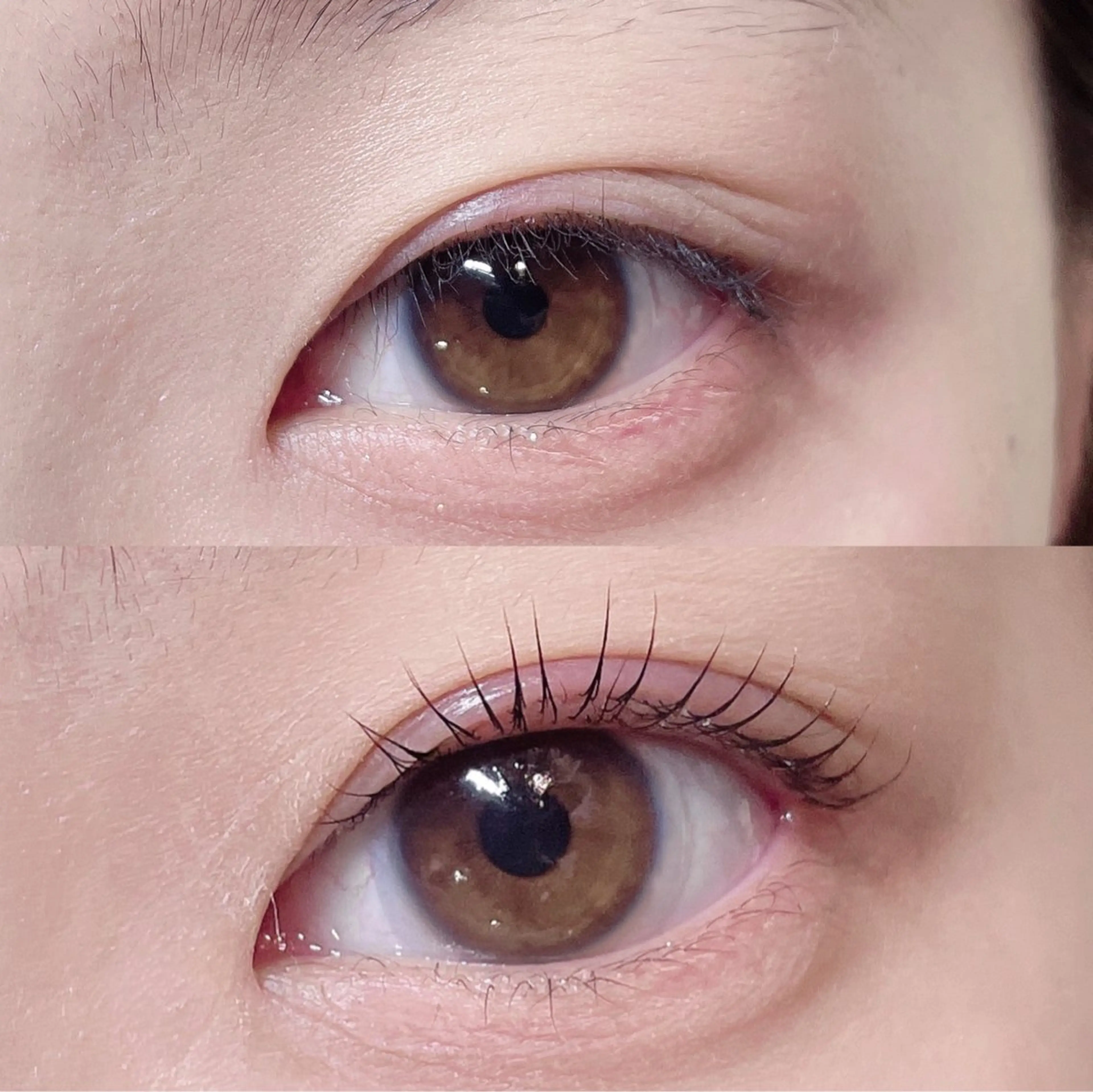 マツエク・マツパ まつげパーマ 一重×まつ毛パーマ 🎀Lino 中目黒 TAKAMI🐈のマツエク・マツパデザイン