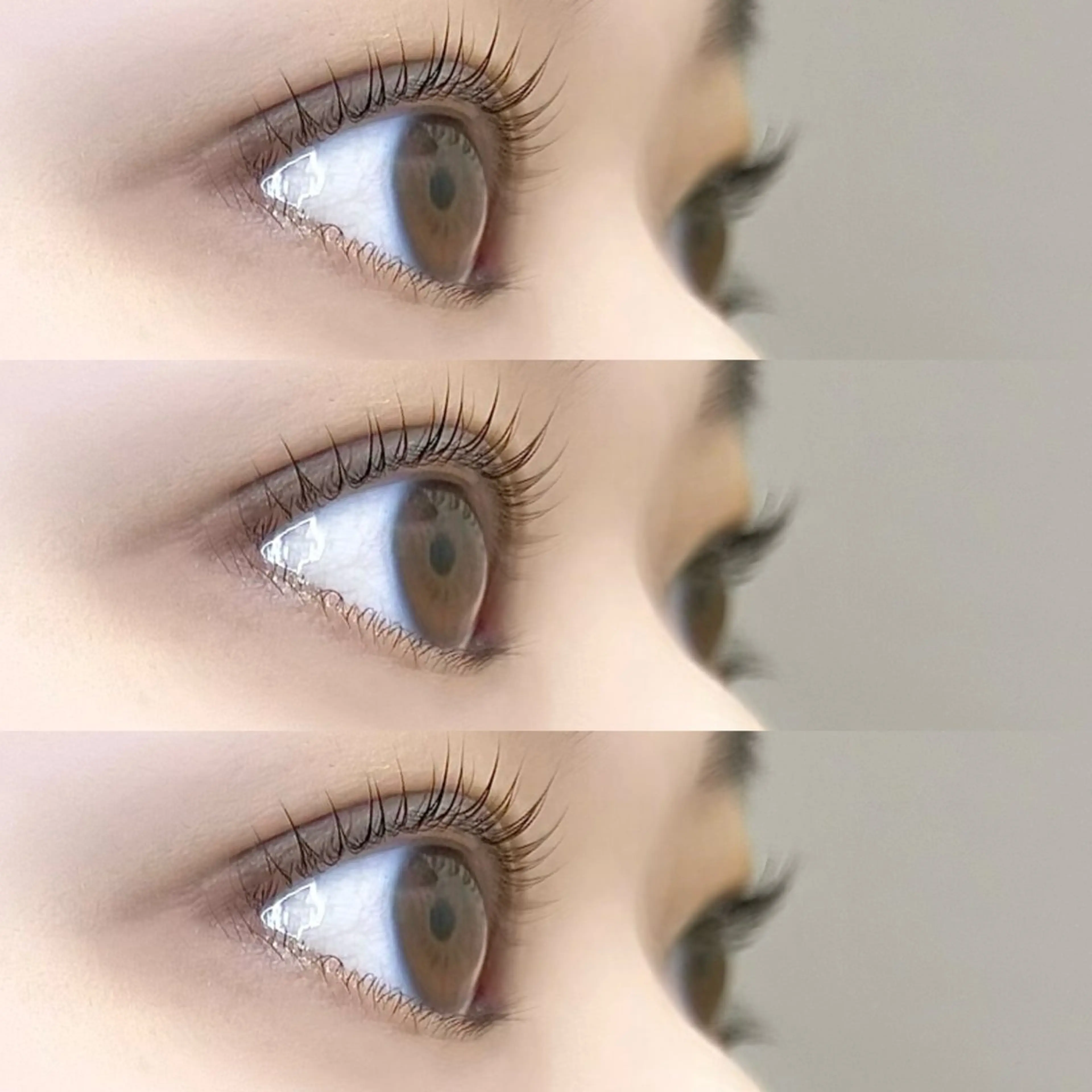 ご新規様🤍(ラッシュリフト)ぱっちり立ち上げパリジェンヌデザイン〖アイシャンプー・TR付き👼🏼〗の写真