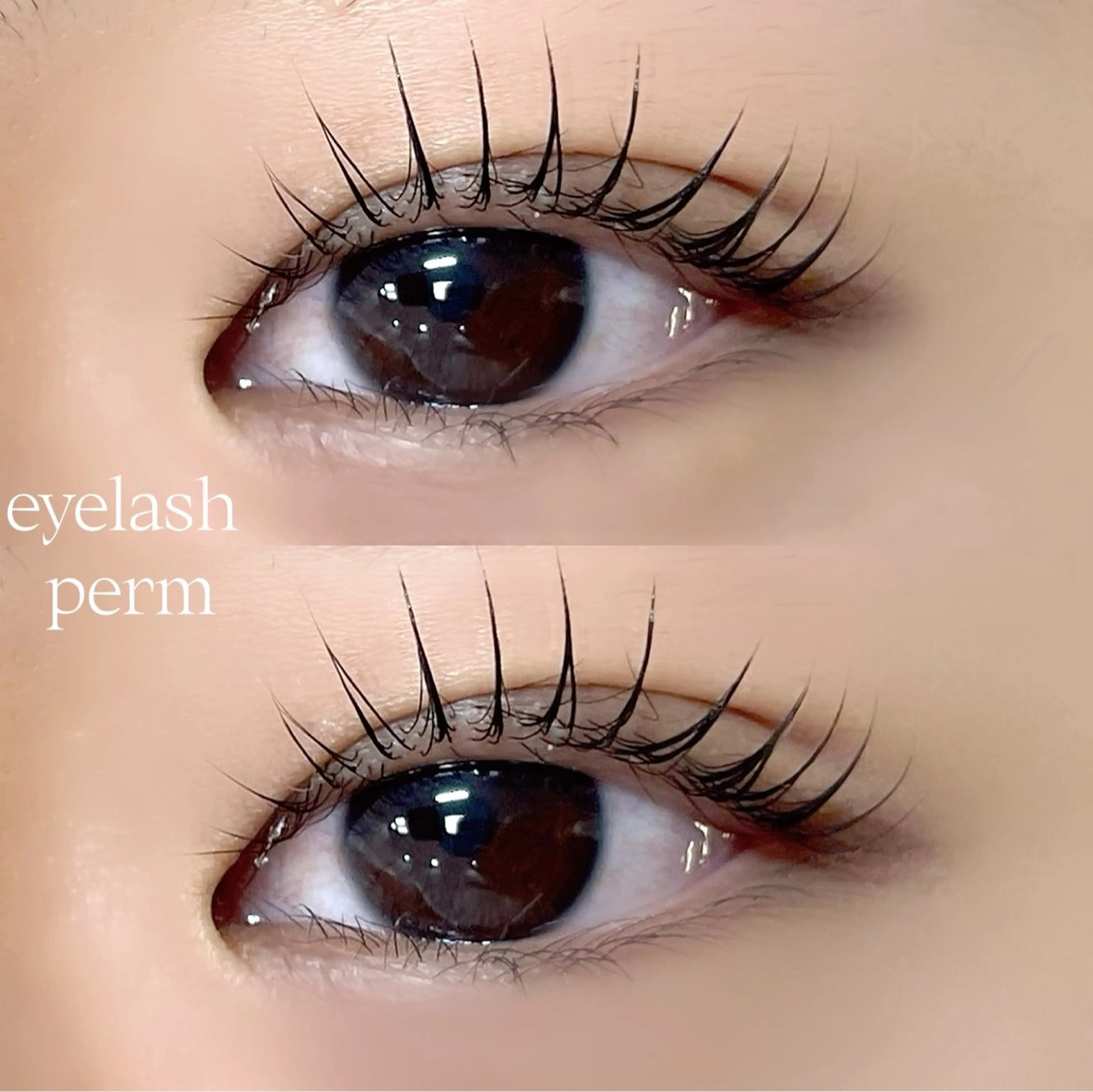 マツエク・マツパ Mon mignon ෆmomokaのマツエク・マツパデザイン