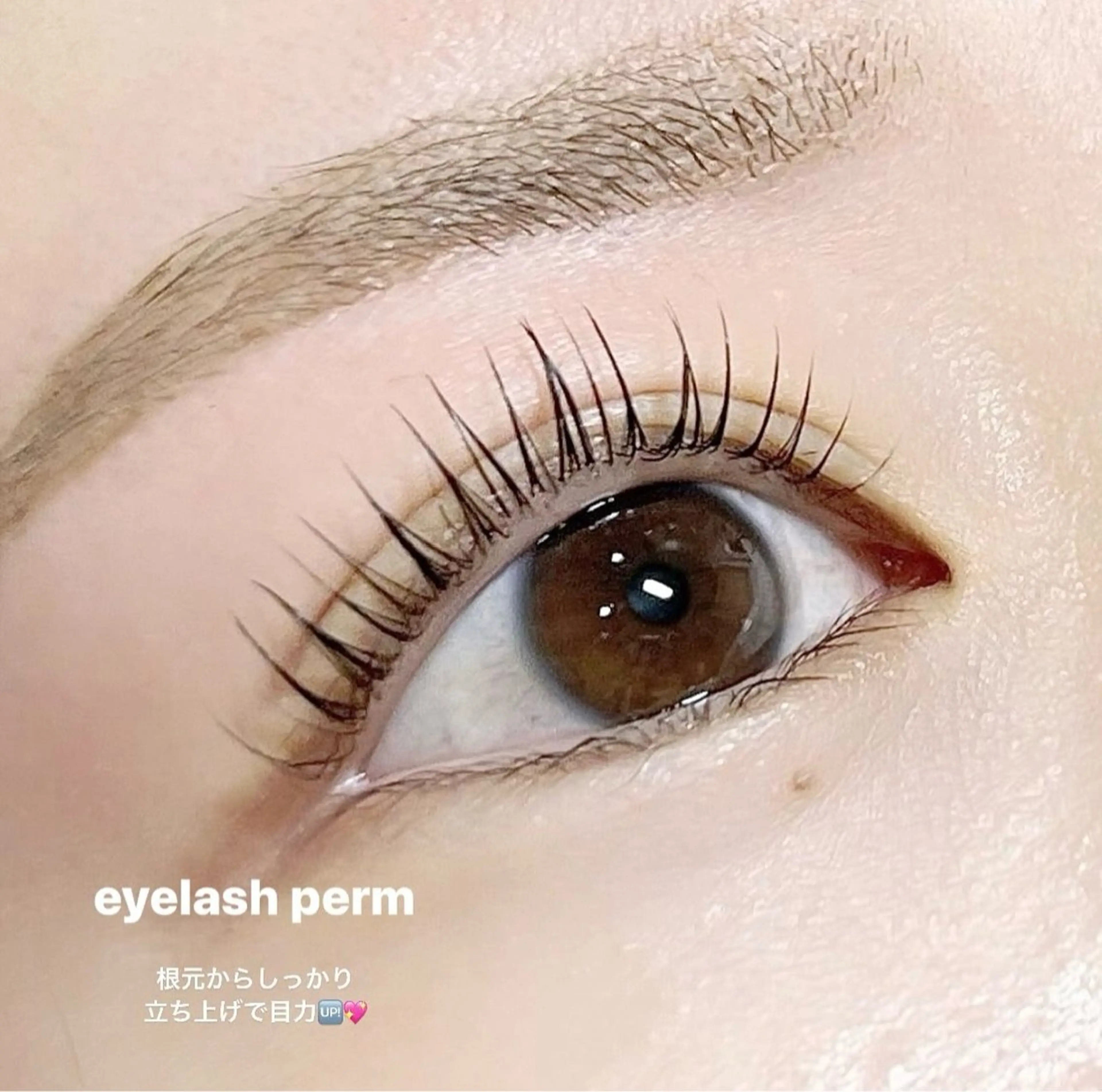 マツエク・マツパ 一重×まつ毛パーマ lil'Lab【リルラボ】所属・lil'Lab🎀 minamiのマツエク・マツパデザイン