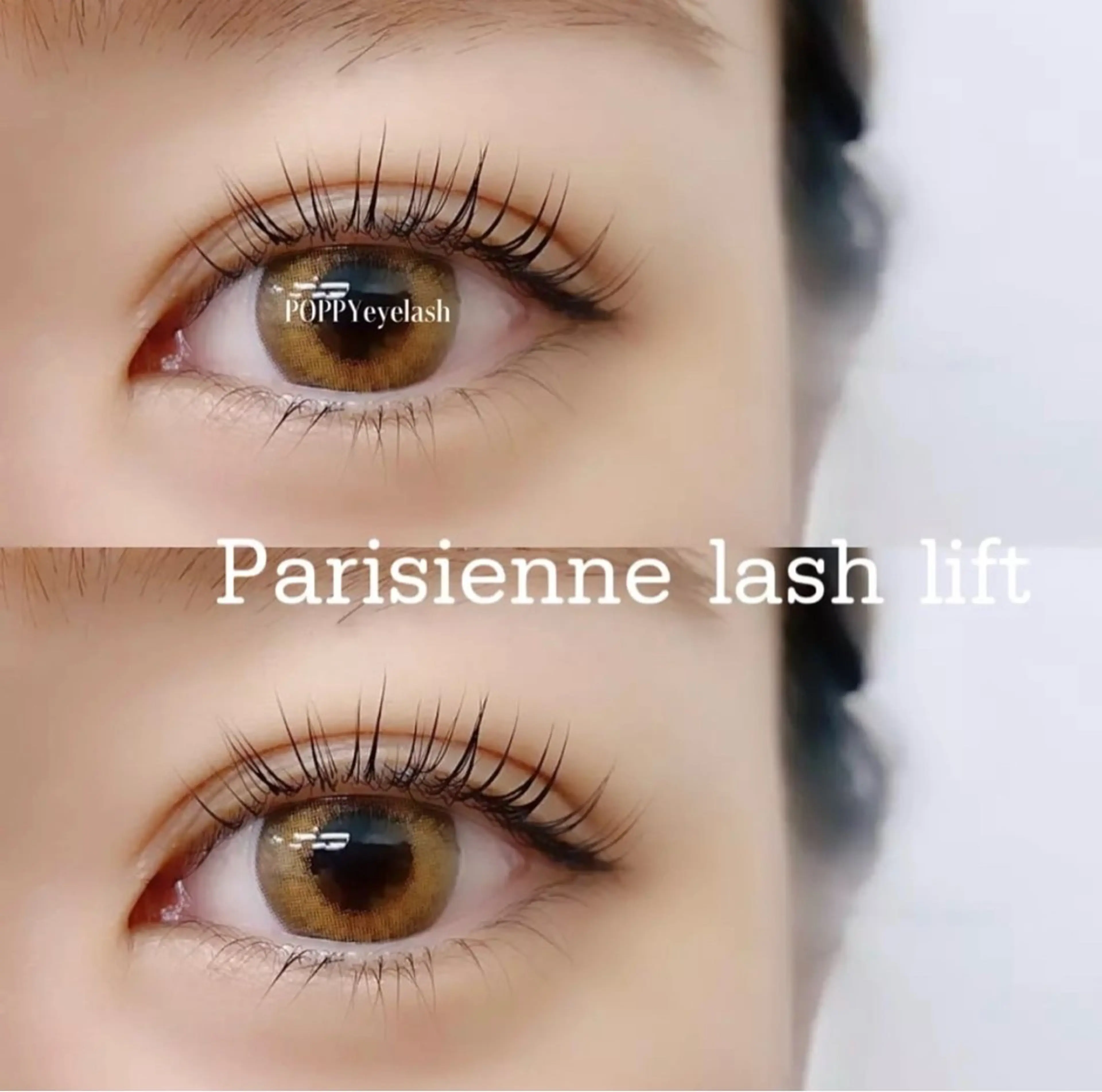 マツエク・マツパ POPPY eyelash 川崎本店所属・モデル募集 POPPY 川崎のマツエク・マツパデザイン