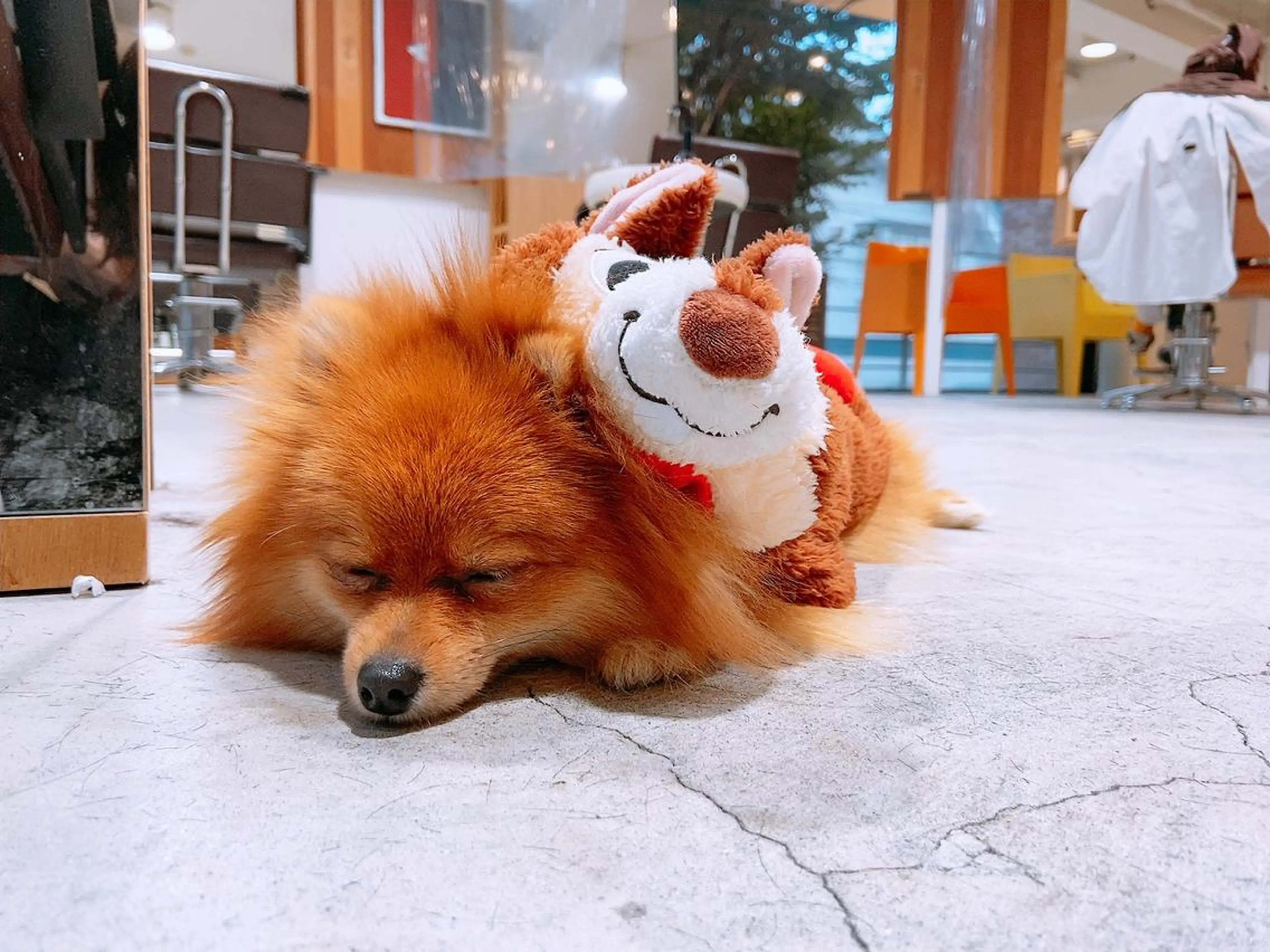 ショート カラー パーマ ヘアアレンジ メンズ カット CHIC share salon所属・ちこ .のヘアスタイル