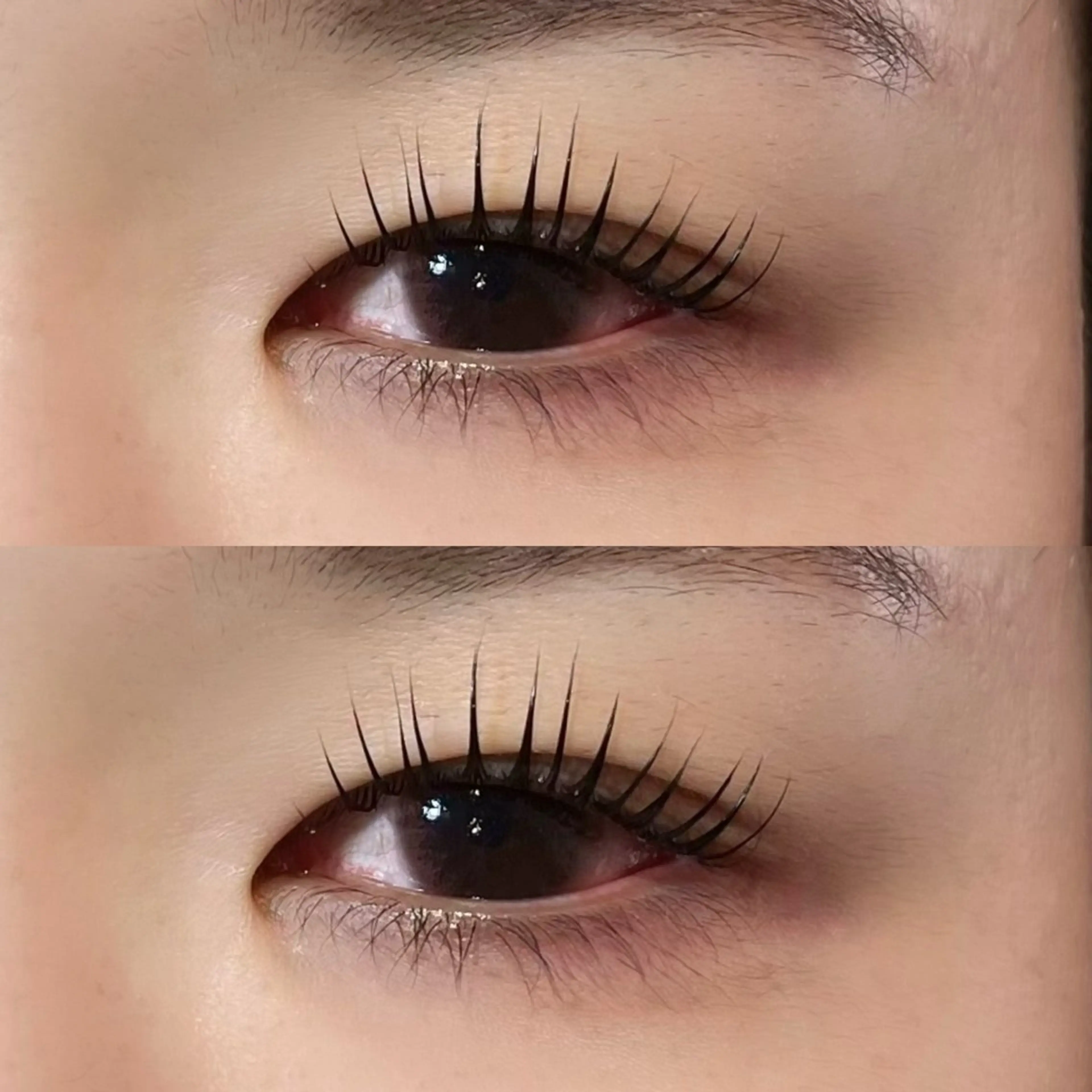 マツエク・マツパ 𝒆𝒊𝒈𝒉𝒕 杏花のマツエク・マツパデザイン