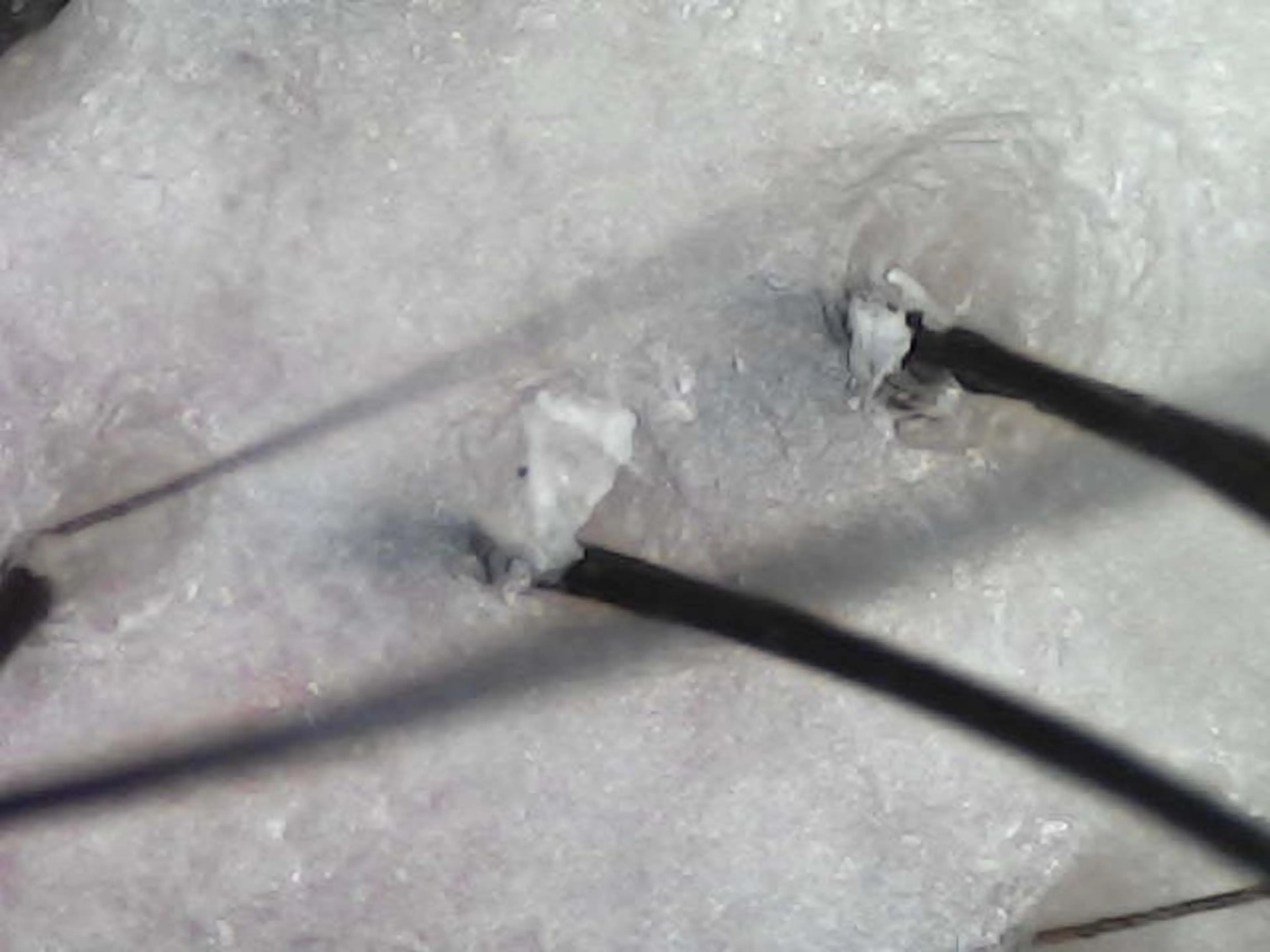 ヘッドスパ salowin 郡山店所属・中畑 莉菜のヘアスタイル