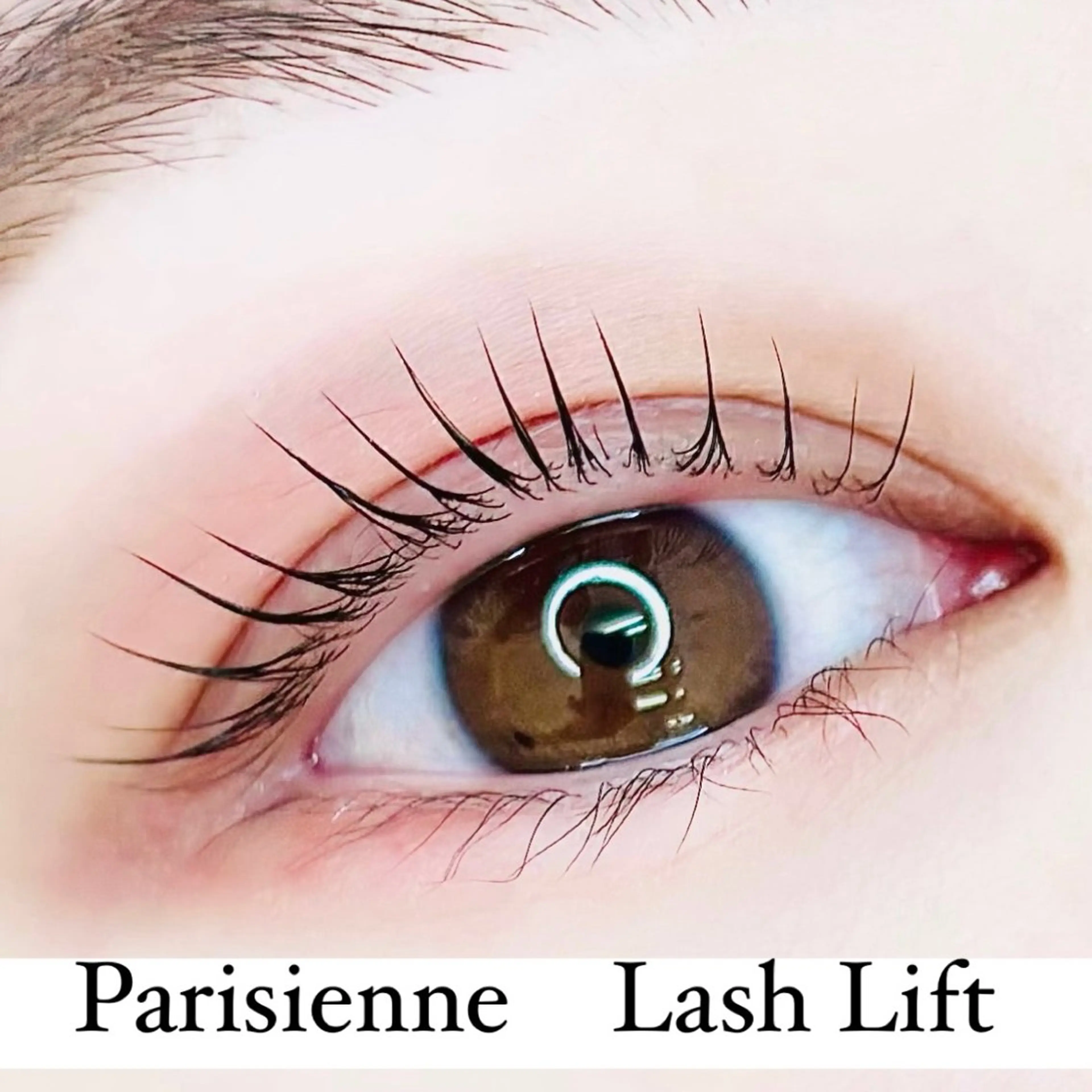 マツエク・マツパ パリジェンヌラッシュリフト まつげパーマ IVY-NUE HITOMIのマツエク・マツパデザイン