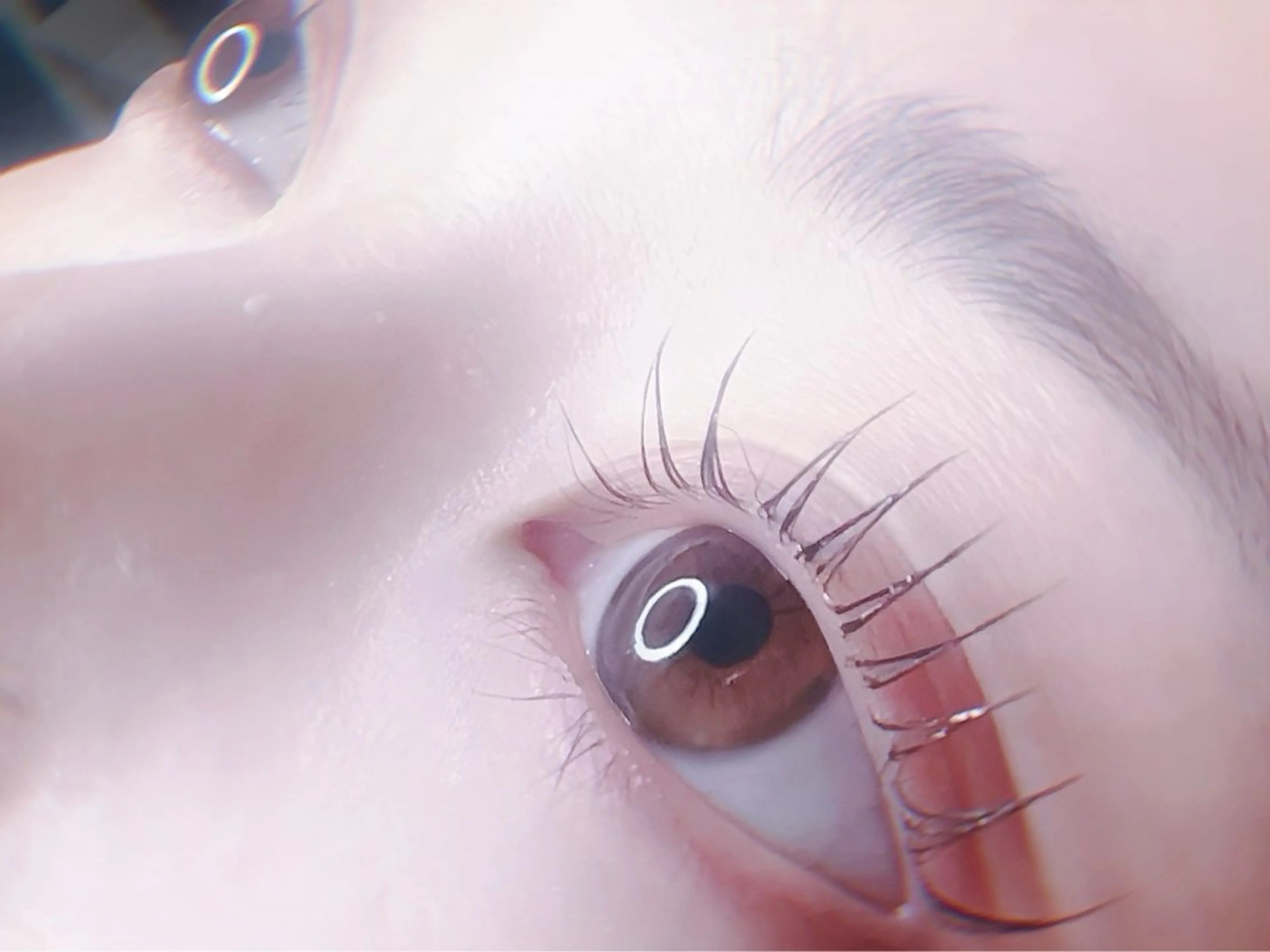 【初回】🍑似合わせまつ毛パーマ🍑の写真