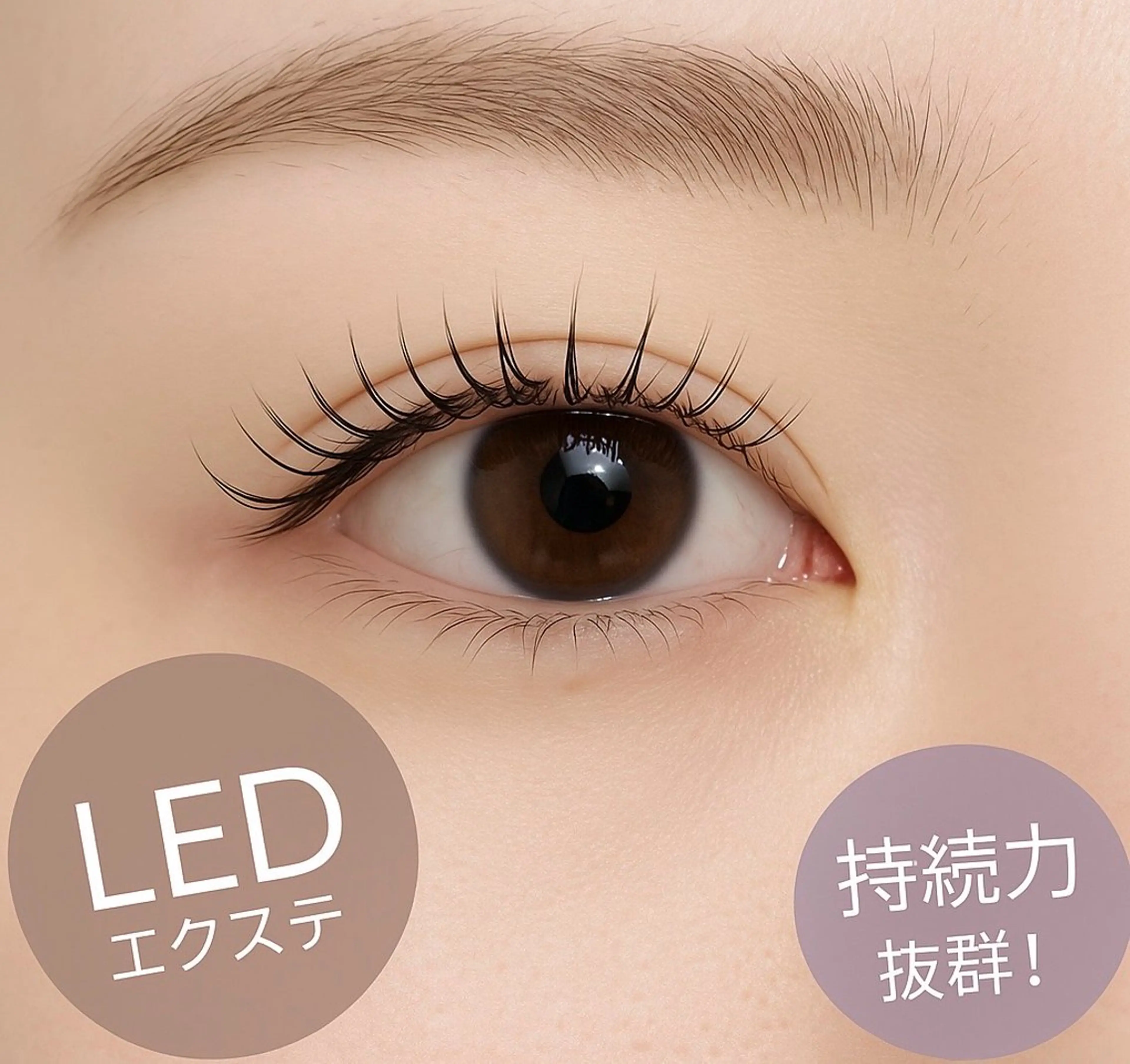LED マツエク 100本☝🏻🤍の写真