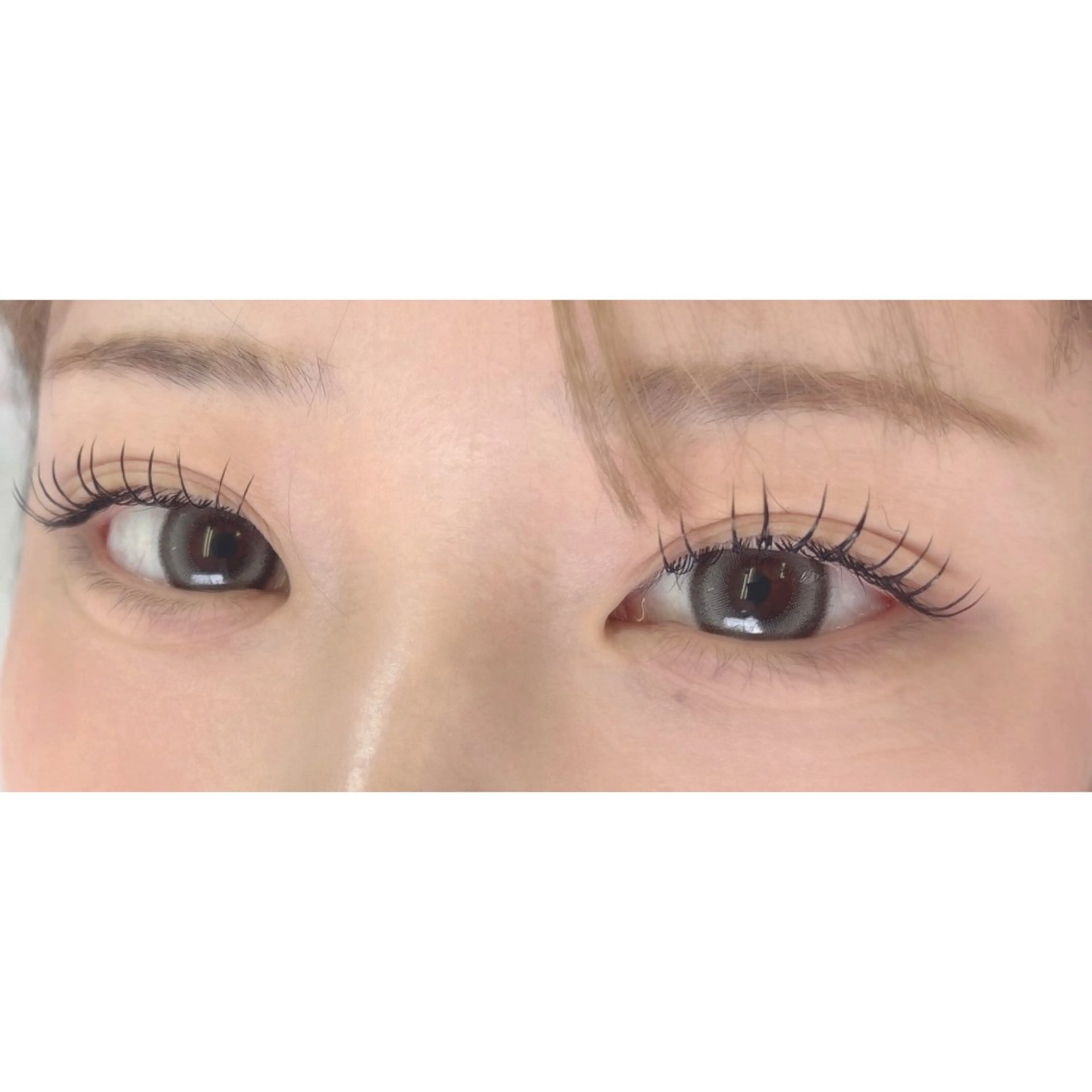 マツエク・マツパ 束感まつ毛 フラットラッシュ alicetokyo ..SAKURAの眉毛・アイブロウイメージ