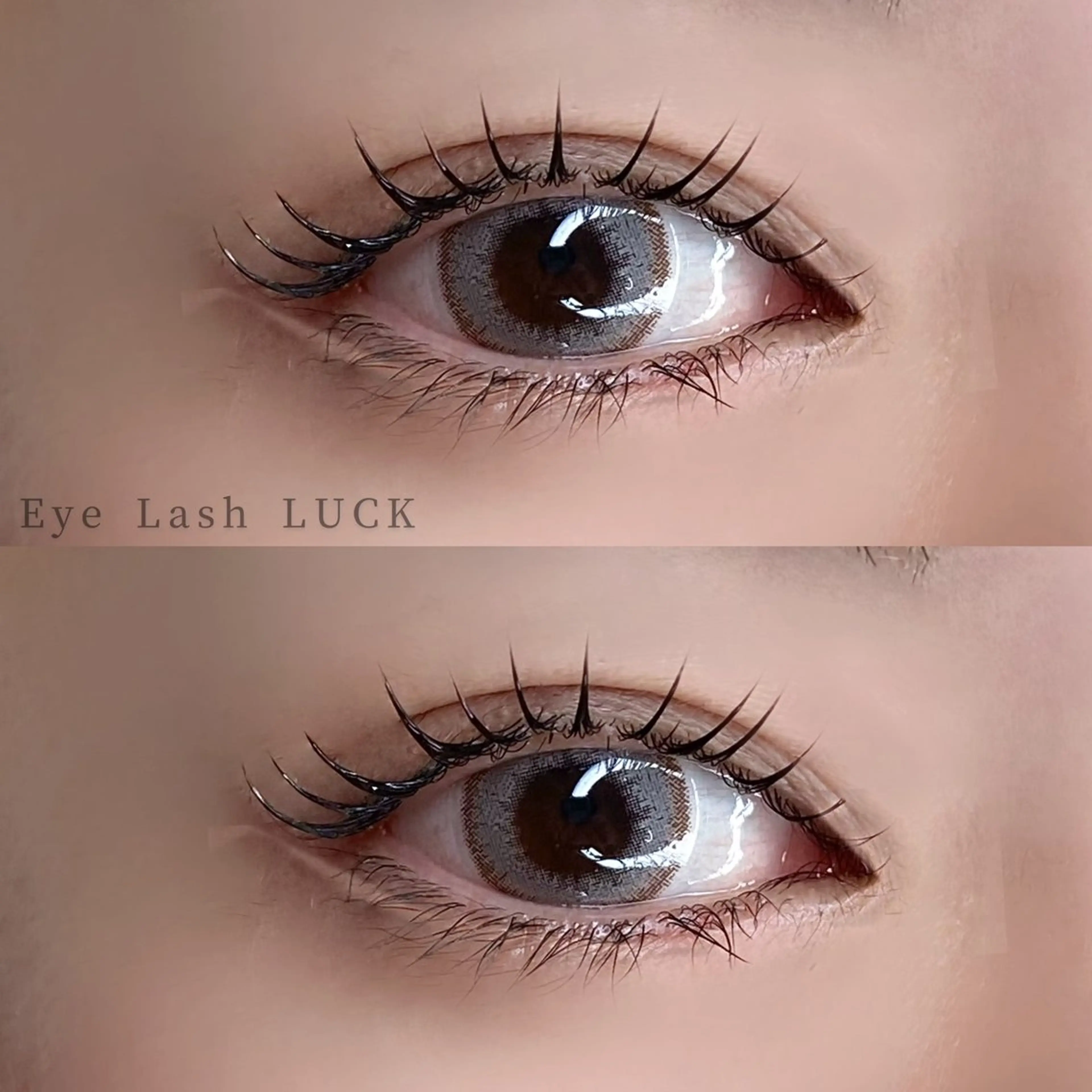 【🫧minimo限定🫧】パリジェンヌラッシュリフト＋束感コーティング剤プレゼント🎀の写真