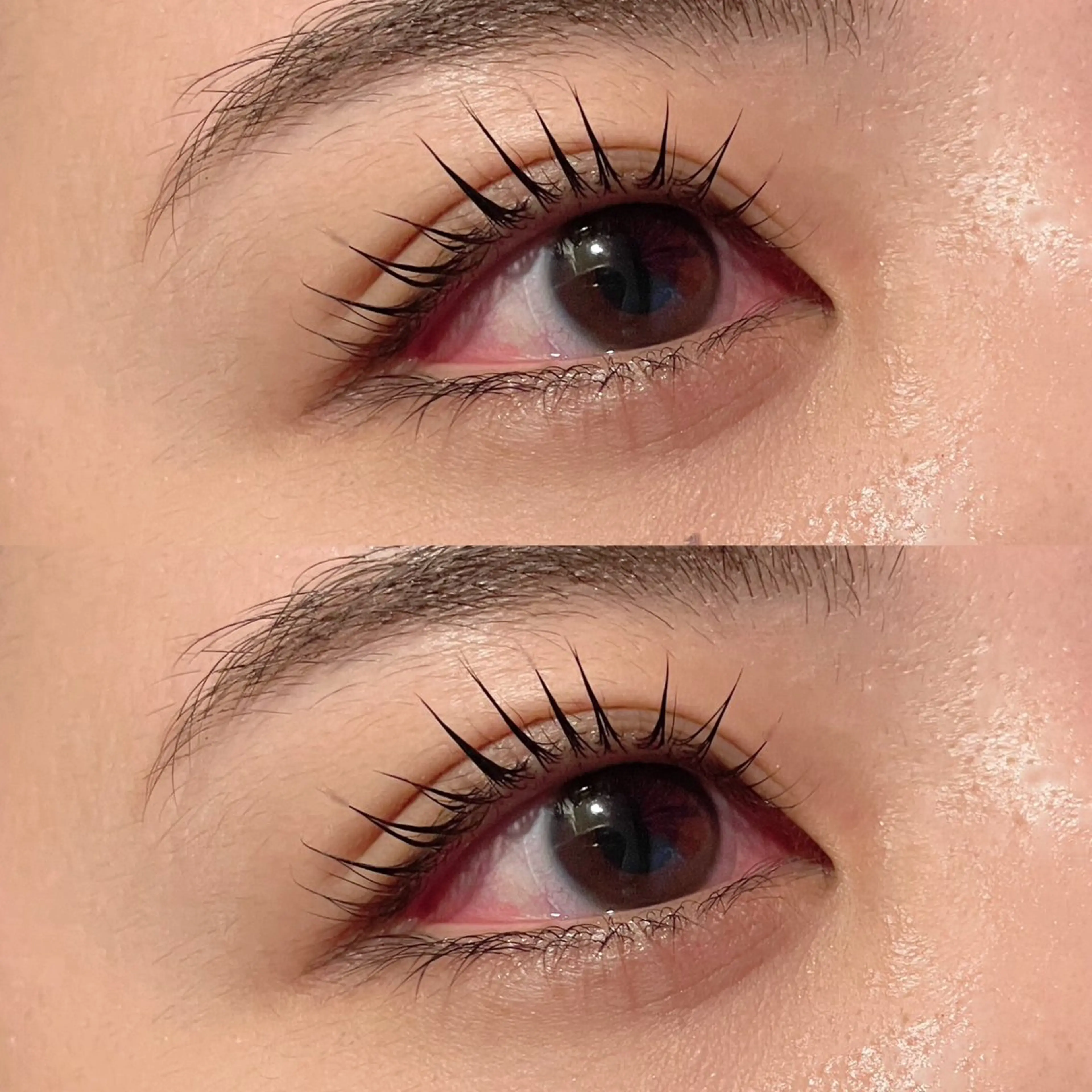 マツエク・マツパ パリジェンヌラッシュリフト cerisier mio/名古屋/黒川のマツエク・マツパデザイン