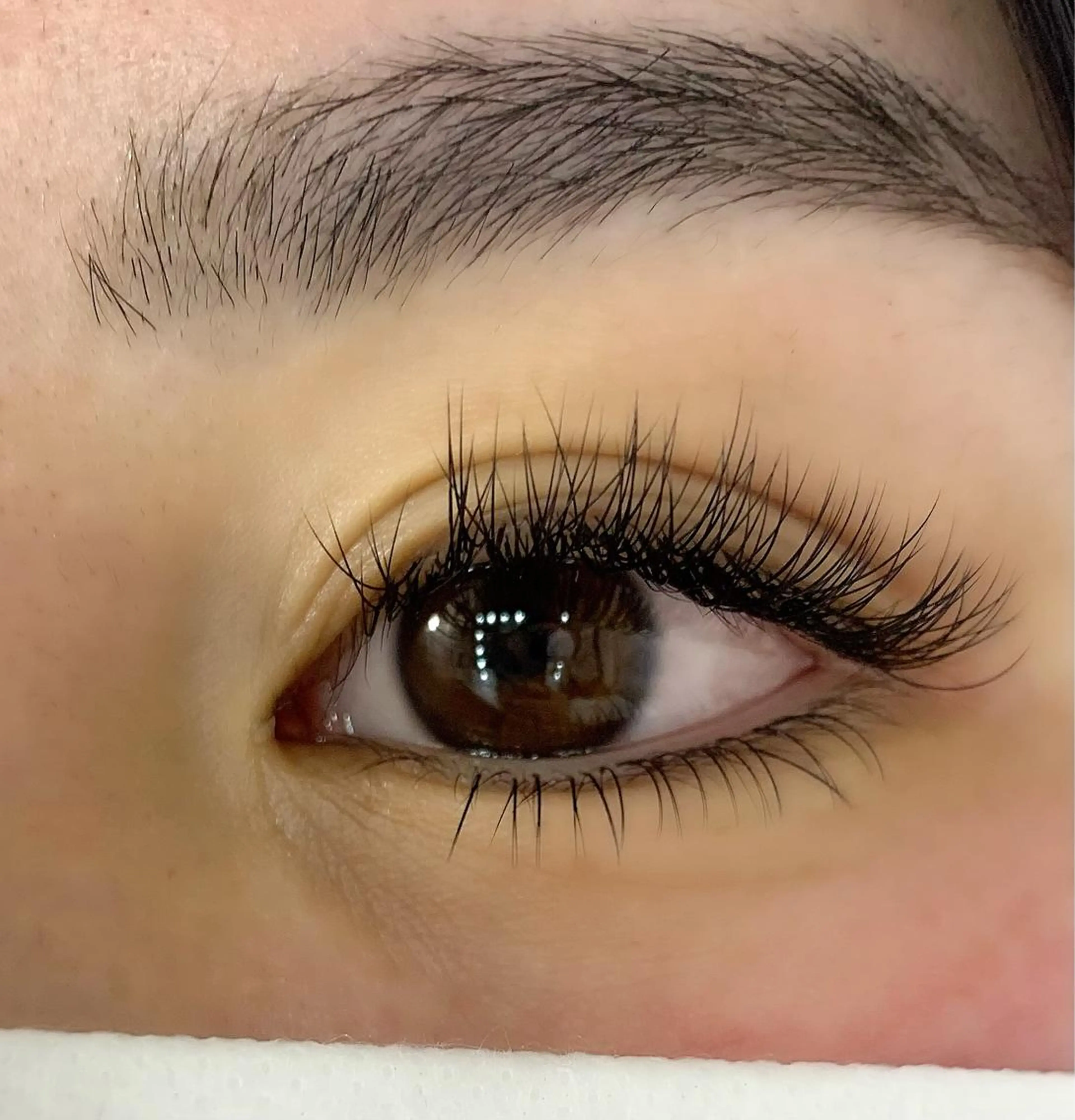 マツエク・マツパ 付け放題 セーブル 下まつげエクステ Celeste Venus所属・🧸Celeste Venusのマツエク・マツパデザイン