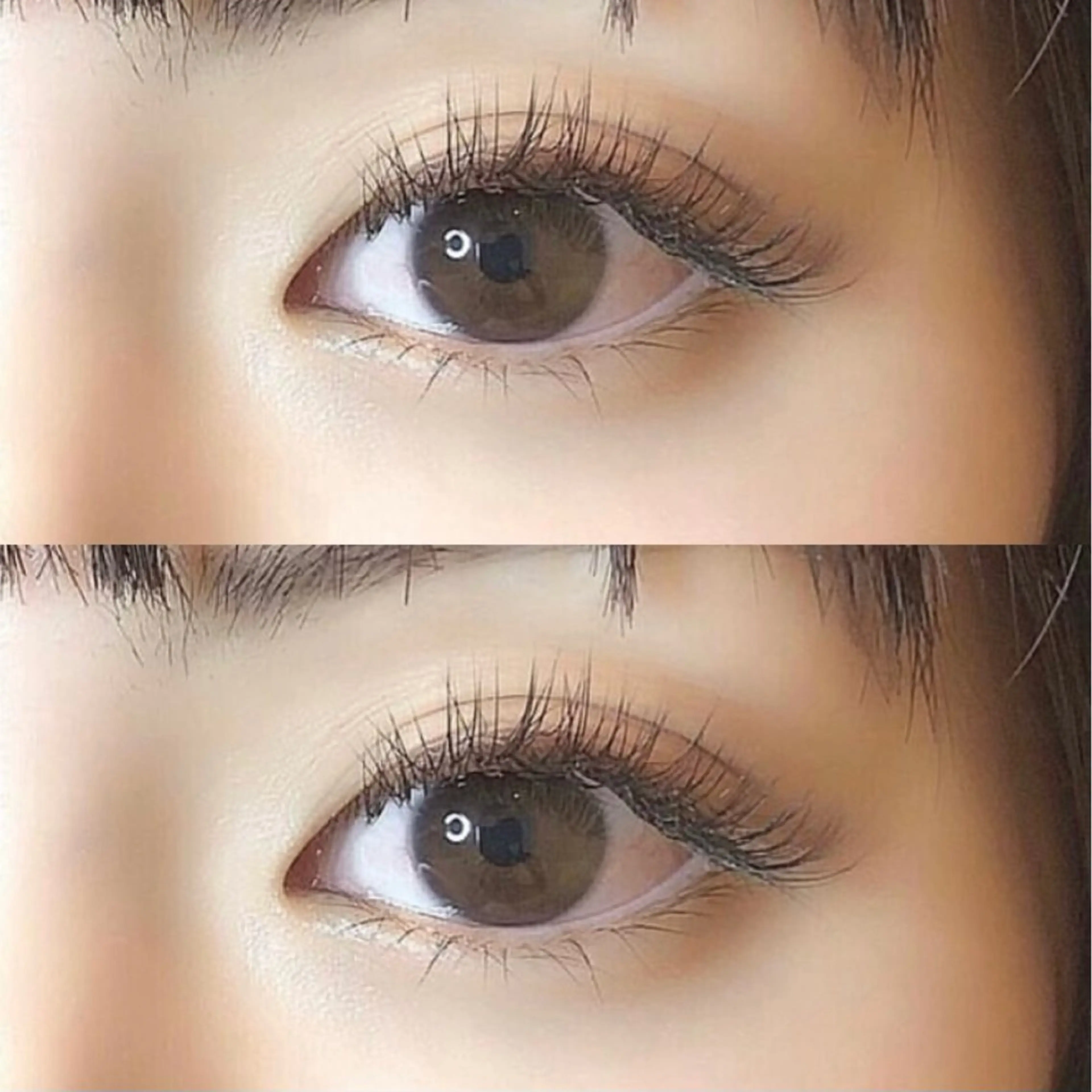 ✨ミニモ学割✨セーブルつけ放題/オフ込/コーティングTR付(LEDエクステ+¥1100)の写真