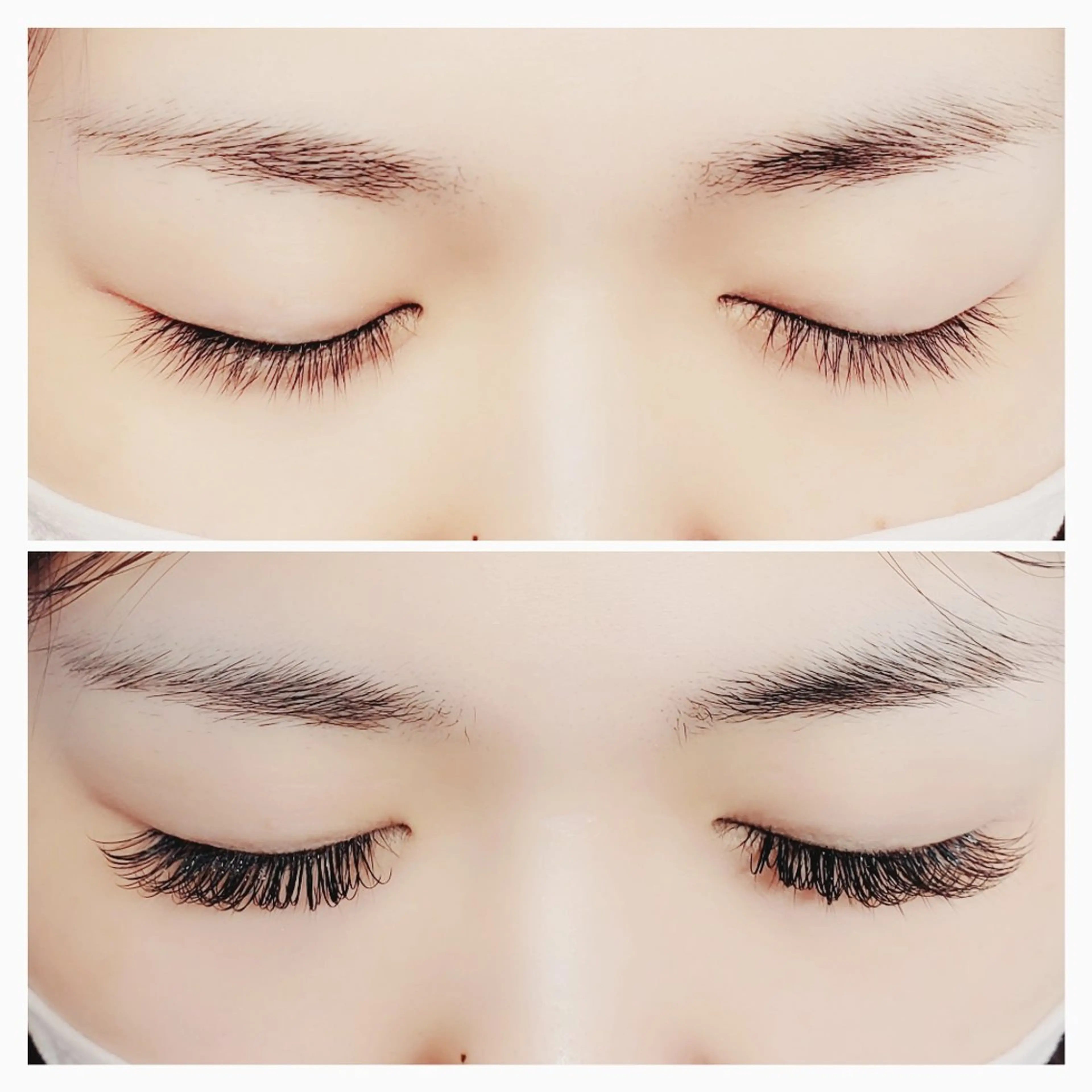 ダブルフラット　80束の写真