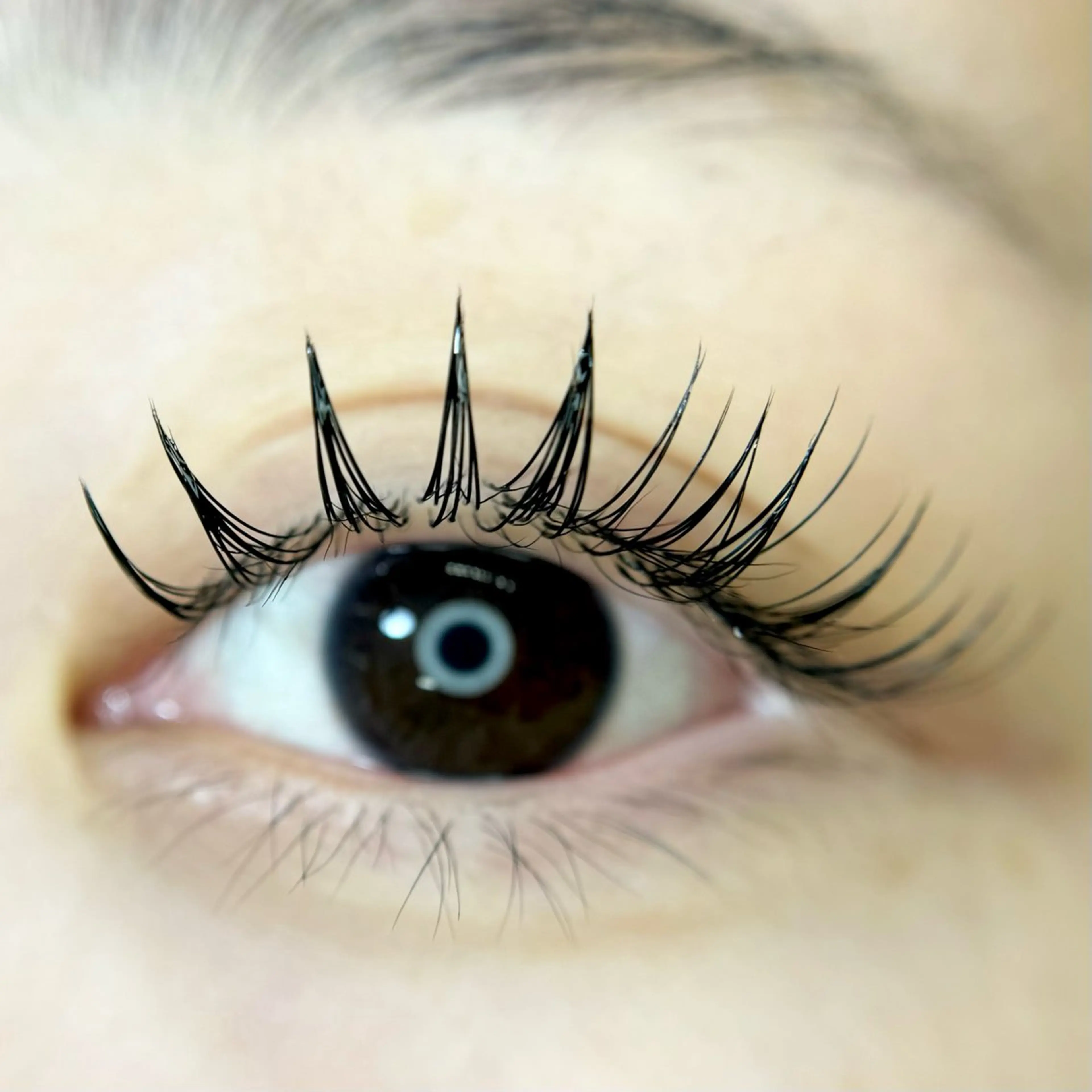 マツエク・マツパ マツエク f.【エフドット】 二俣川のマツエク・マツパデザイン