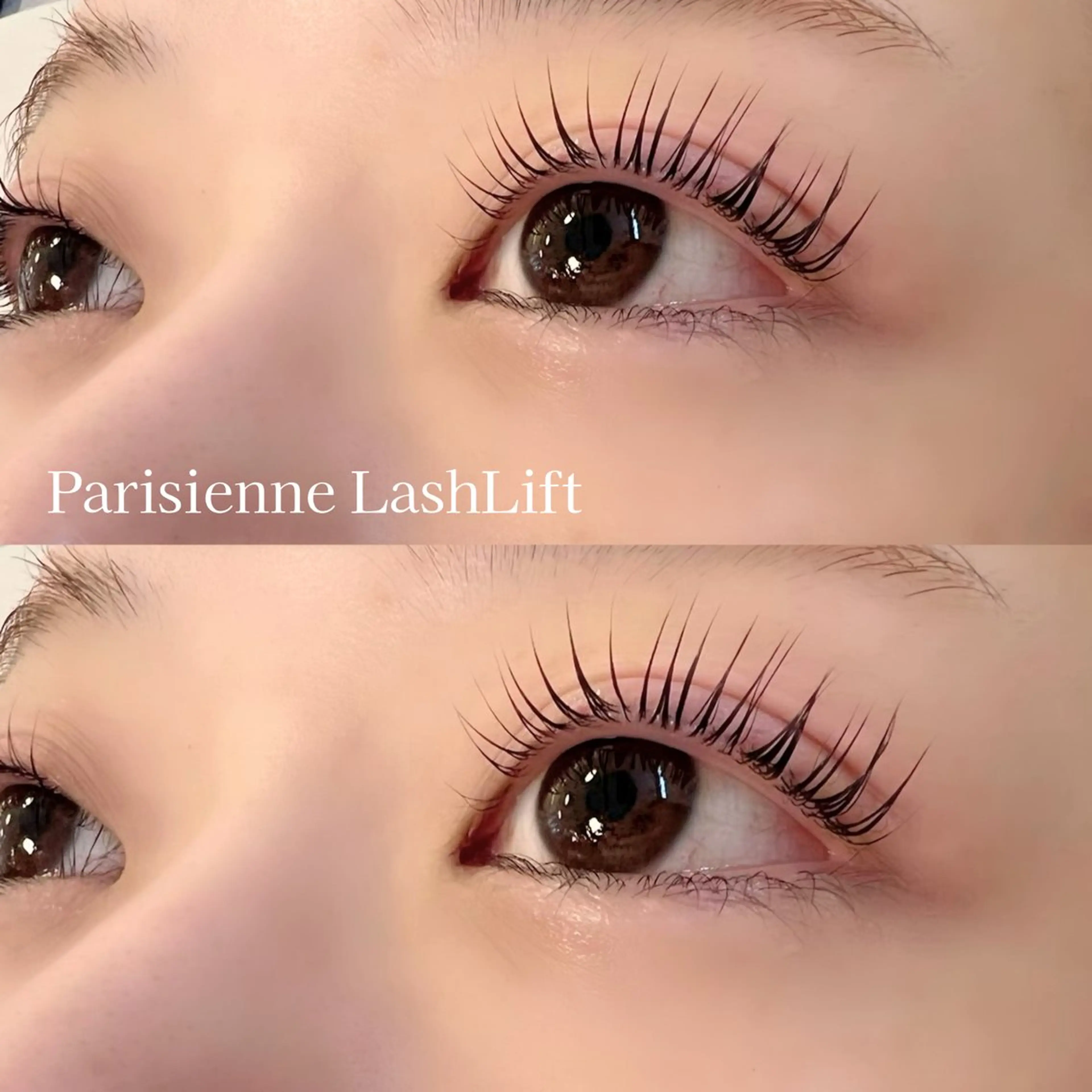 ［SETMENU☽☽］ハリウッドブロウリフト＋パリジェンヌラッシュリフトの写真