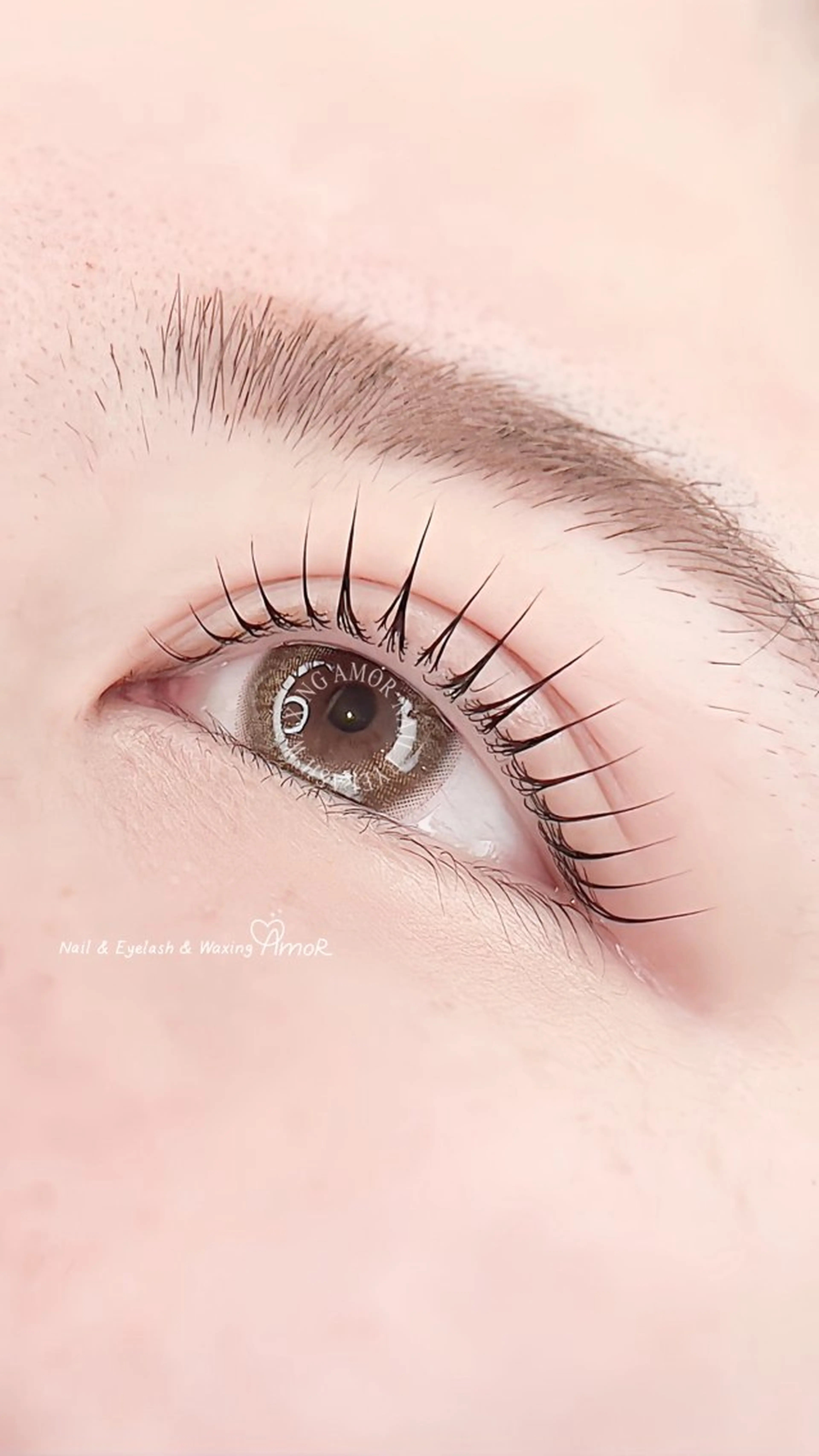 マツエク・マツパ Amor所属・AMOR EYELASHのマツエク・マツパデザイン