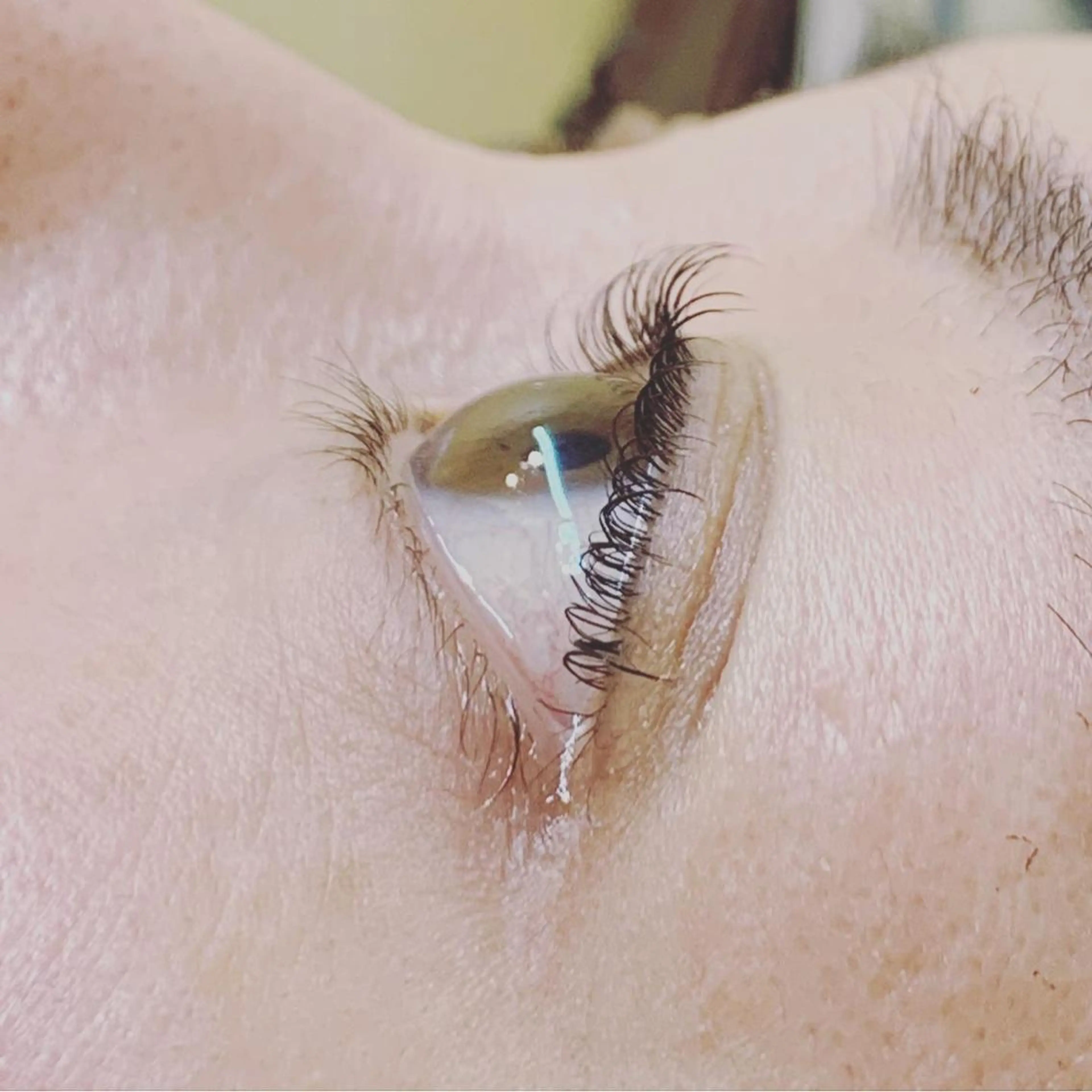 マツエク・マツパ Lafu / Mayuのマツエク・マツパデザイン