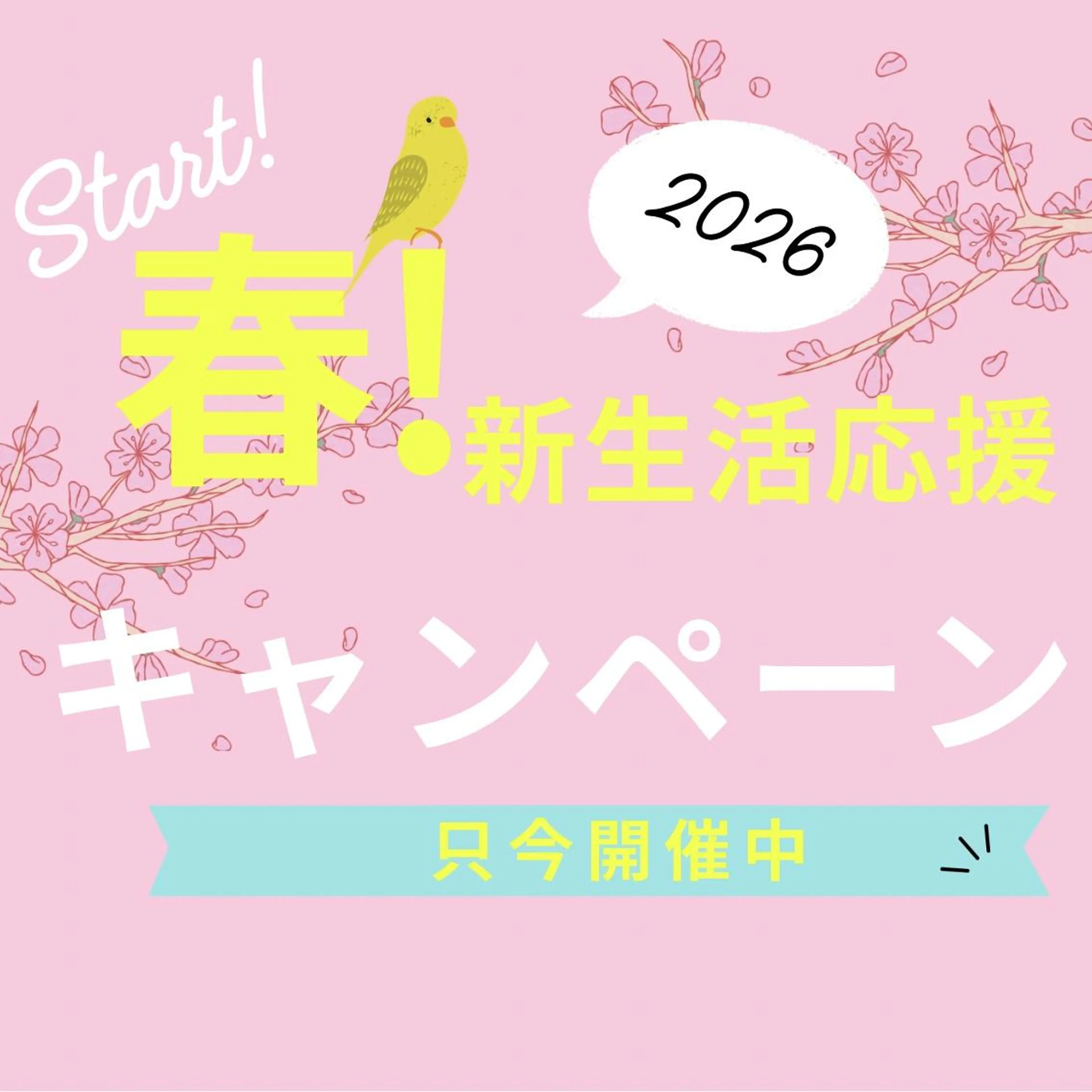 🪽新生活応援キャンペーン🪽まつ毛パーマ🎀コーティング付き♡の写真