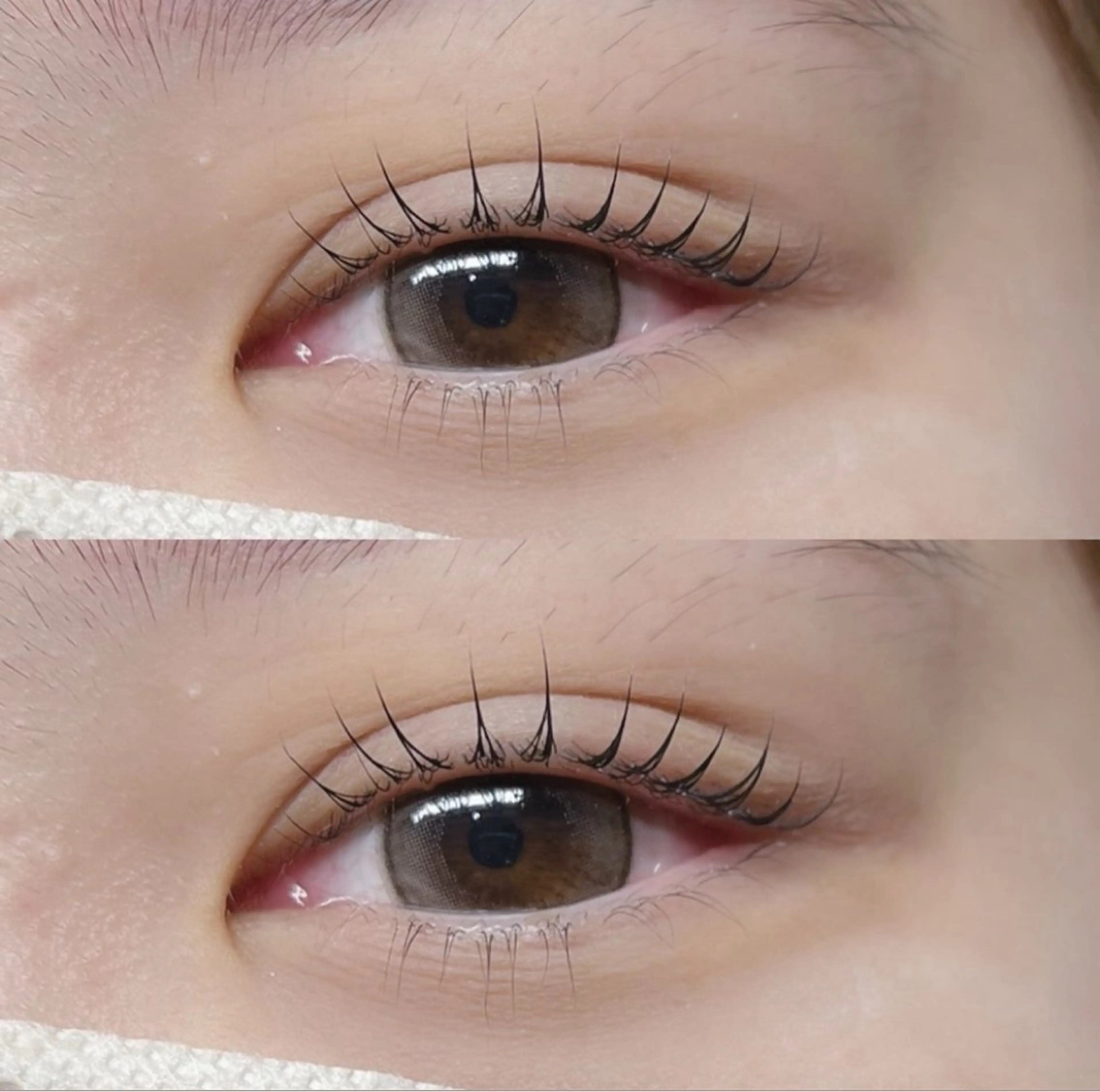 🎅🏻🎄似合わせまつげパーマ❄️⛄️(上まつげ限定)👁️✨の写真