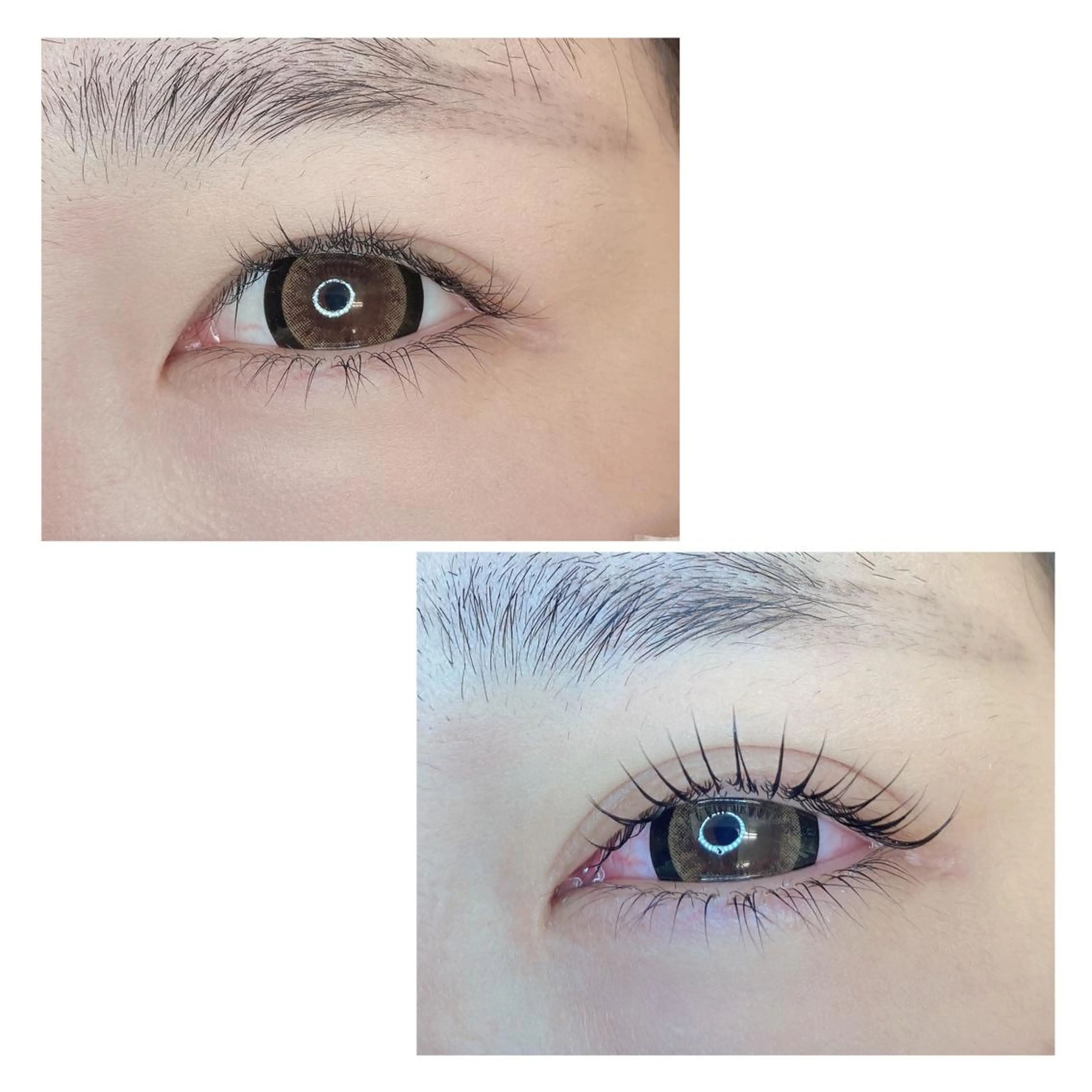 マツエク・マツパ TIARA池袋西口店 店長YASUKA💐のマツエク・マツパデザイン