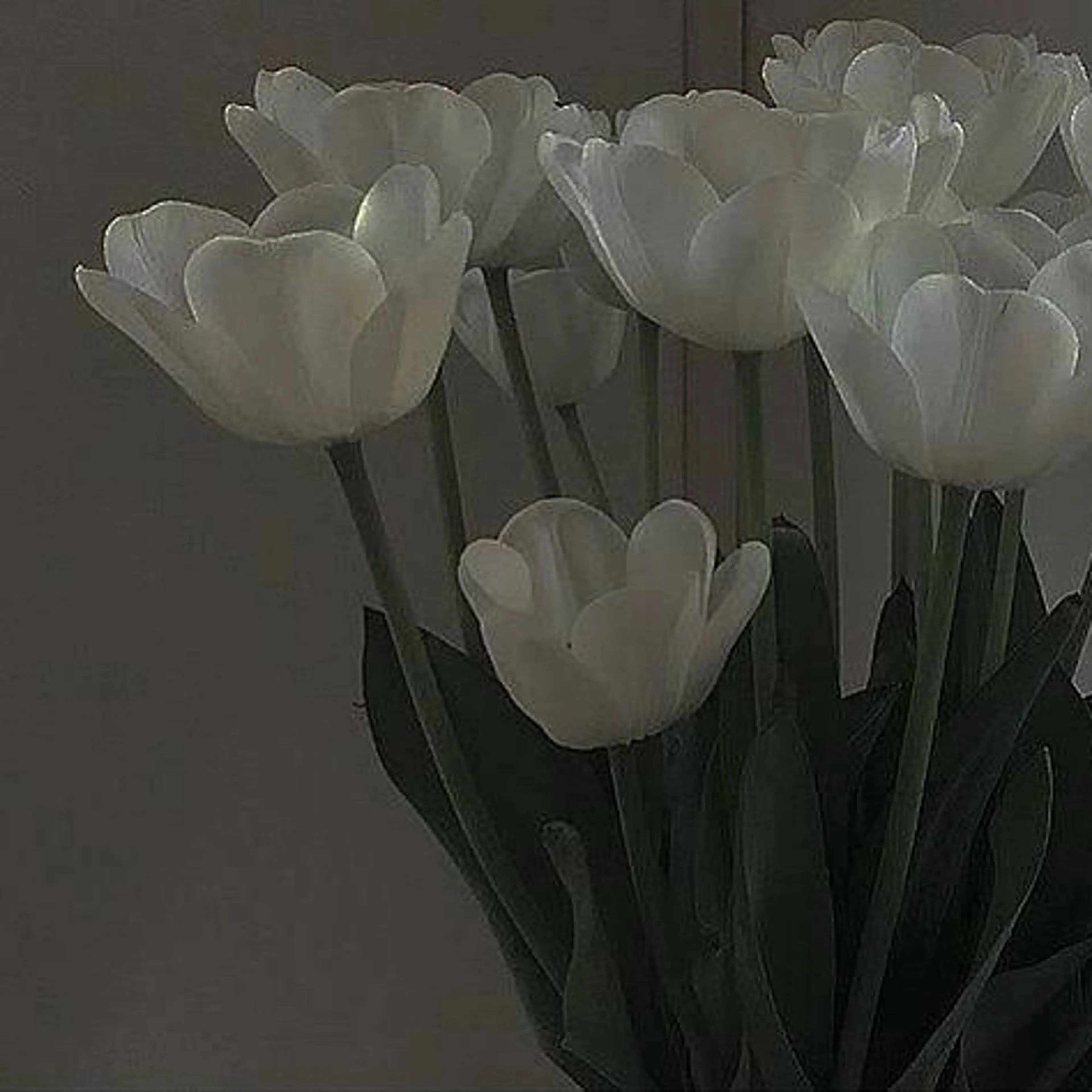 feliz eyelash所属・おざき ゆきののマツエク・マツパデザイン