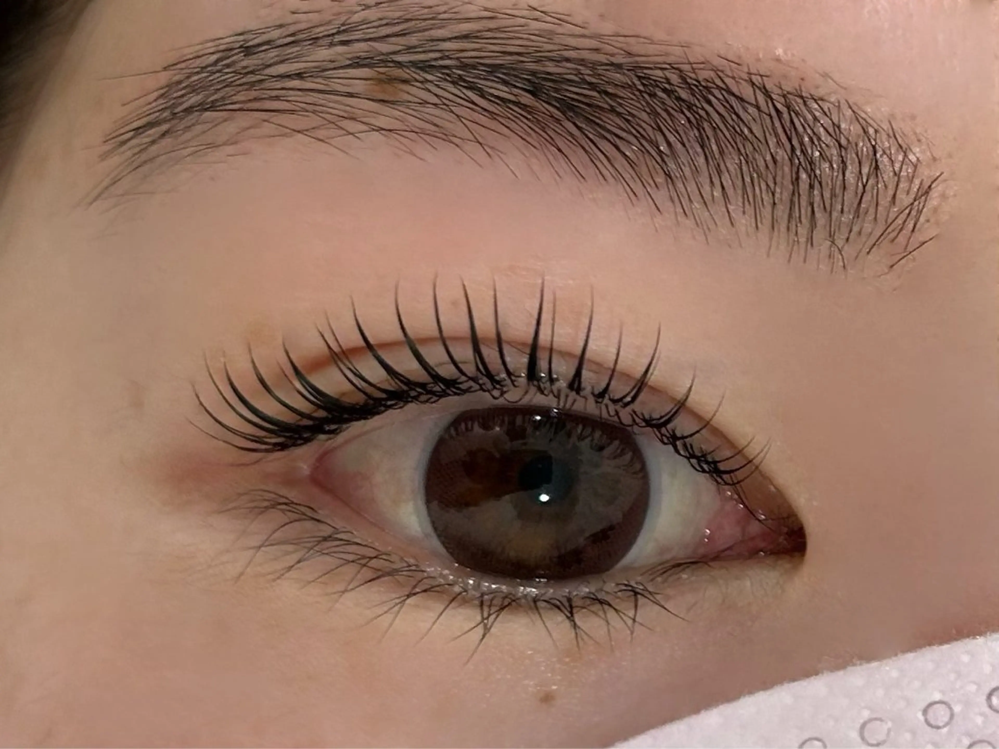 マツエク・マツパ Fiara 四条烏丸店所属・Fiara四条烏丸店 三浦やすみんのマツエク・マツパデザイン