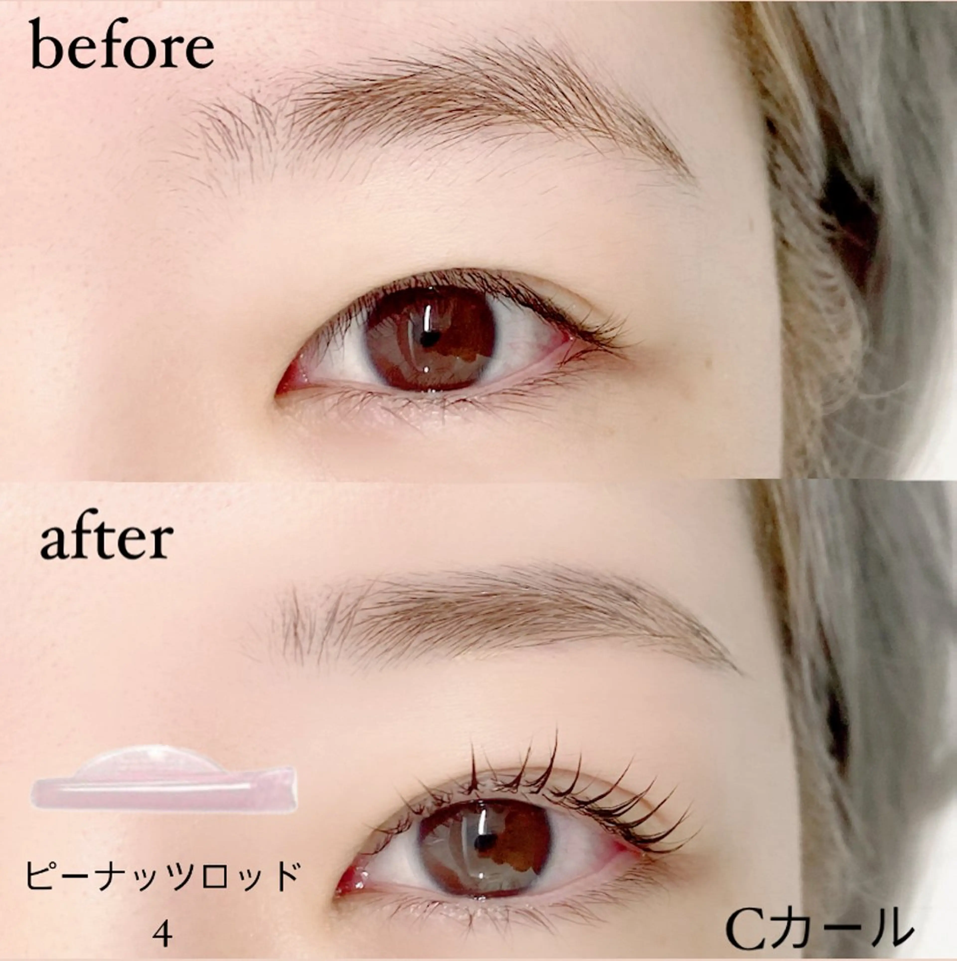 【平日限定】まつ毛パーマ×アイブロウワックス　🏵️補足説明の注意事項必読の写真