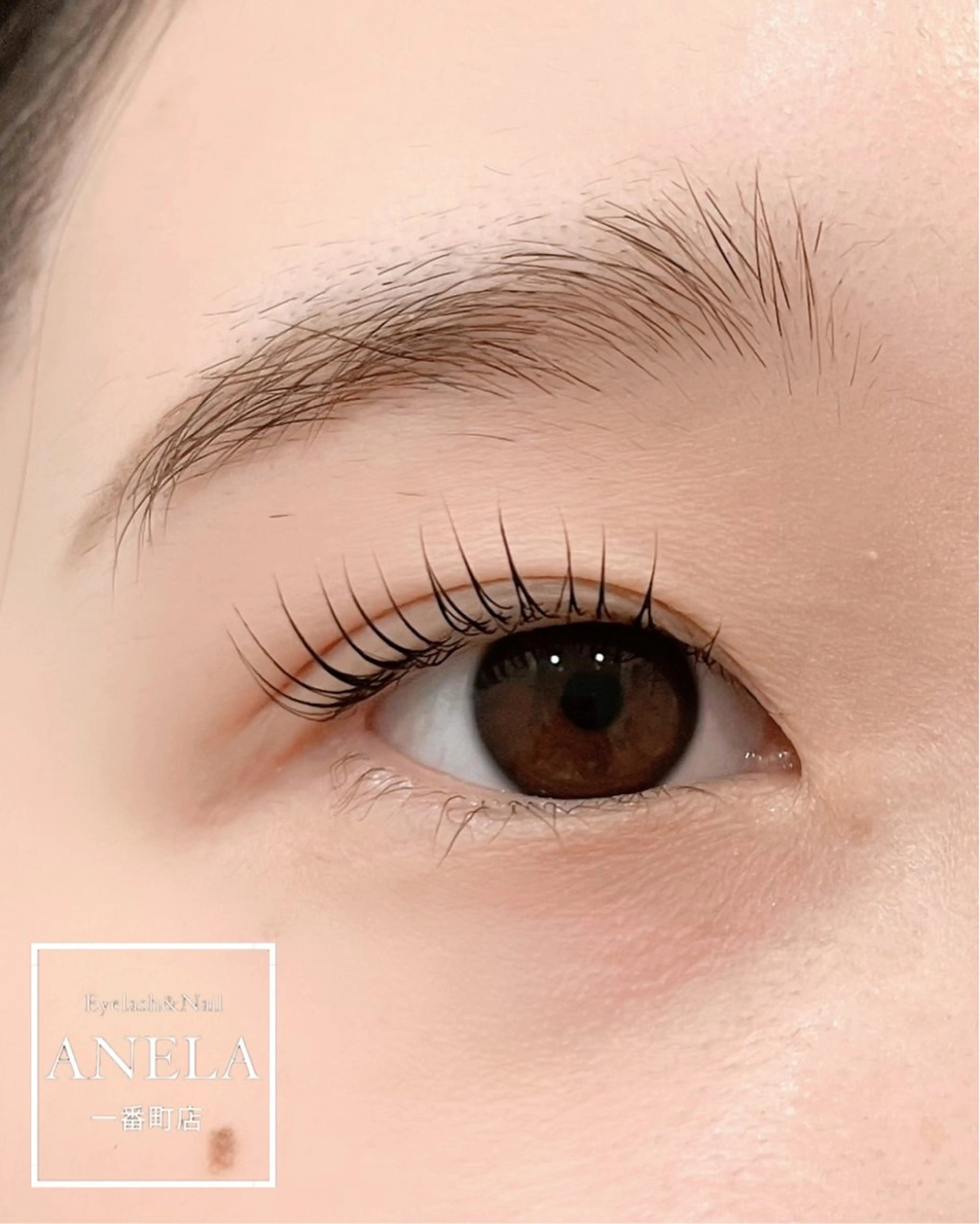 【minimo限定💐】パリジェンヌラッシュリフト¥4500💚※Google口コミ投稿いただける方限定💚の写真