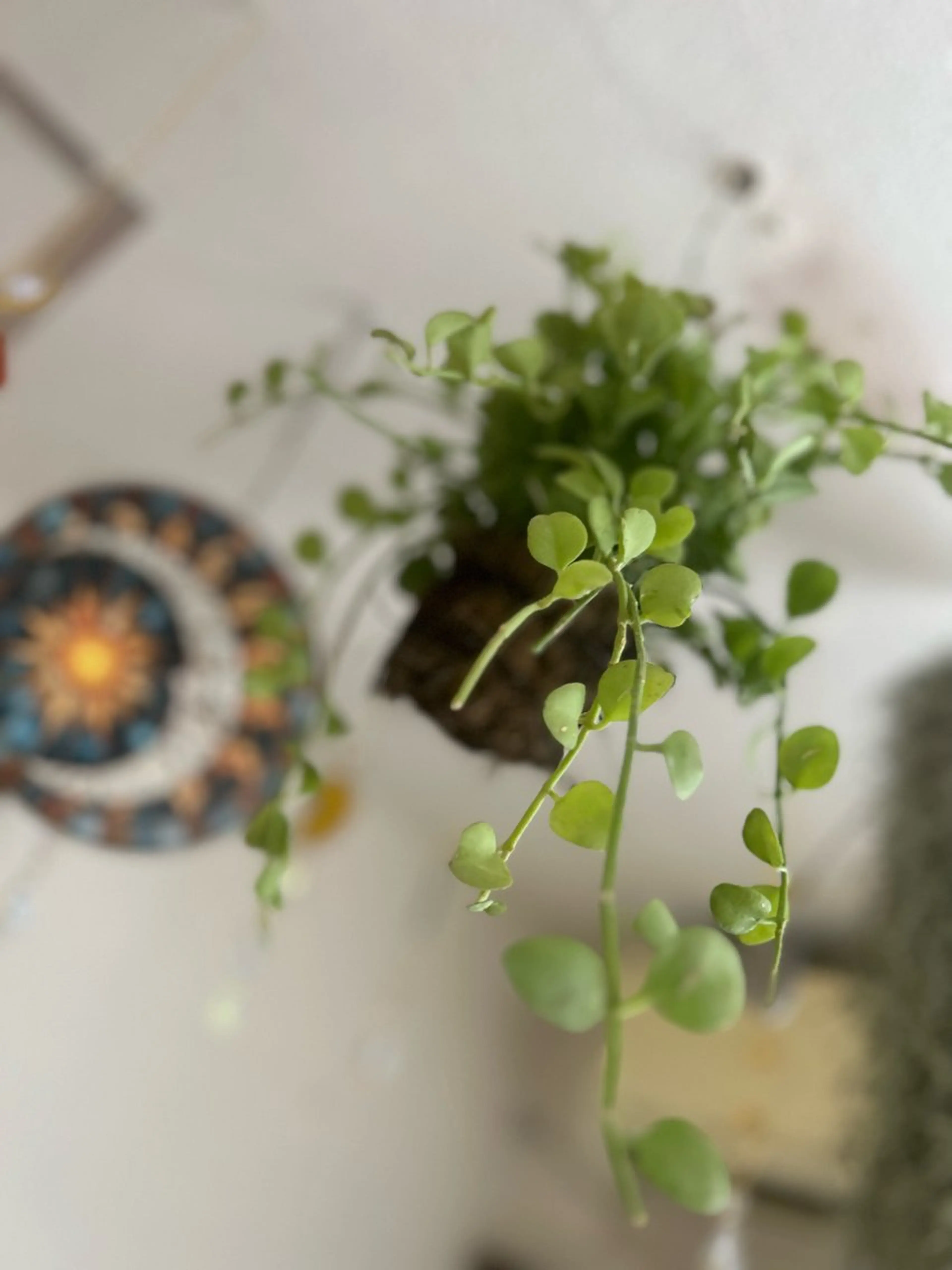 Bodyサロン 高森かずさ◎完全個室のエステ・リラクイメージ