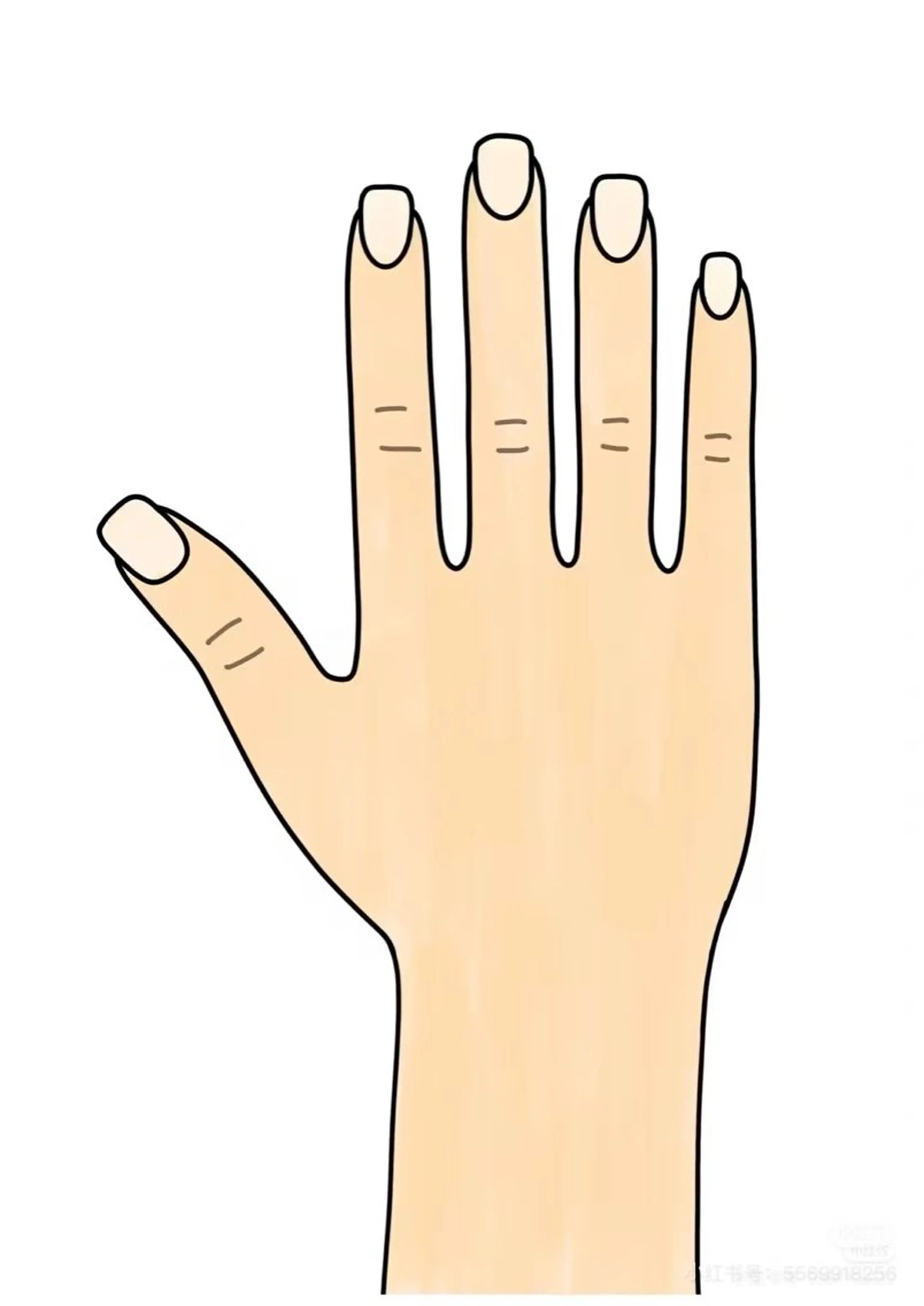 ネイルおやすみセット　ソフトオフ、長さ　オイルの写真