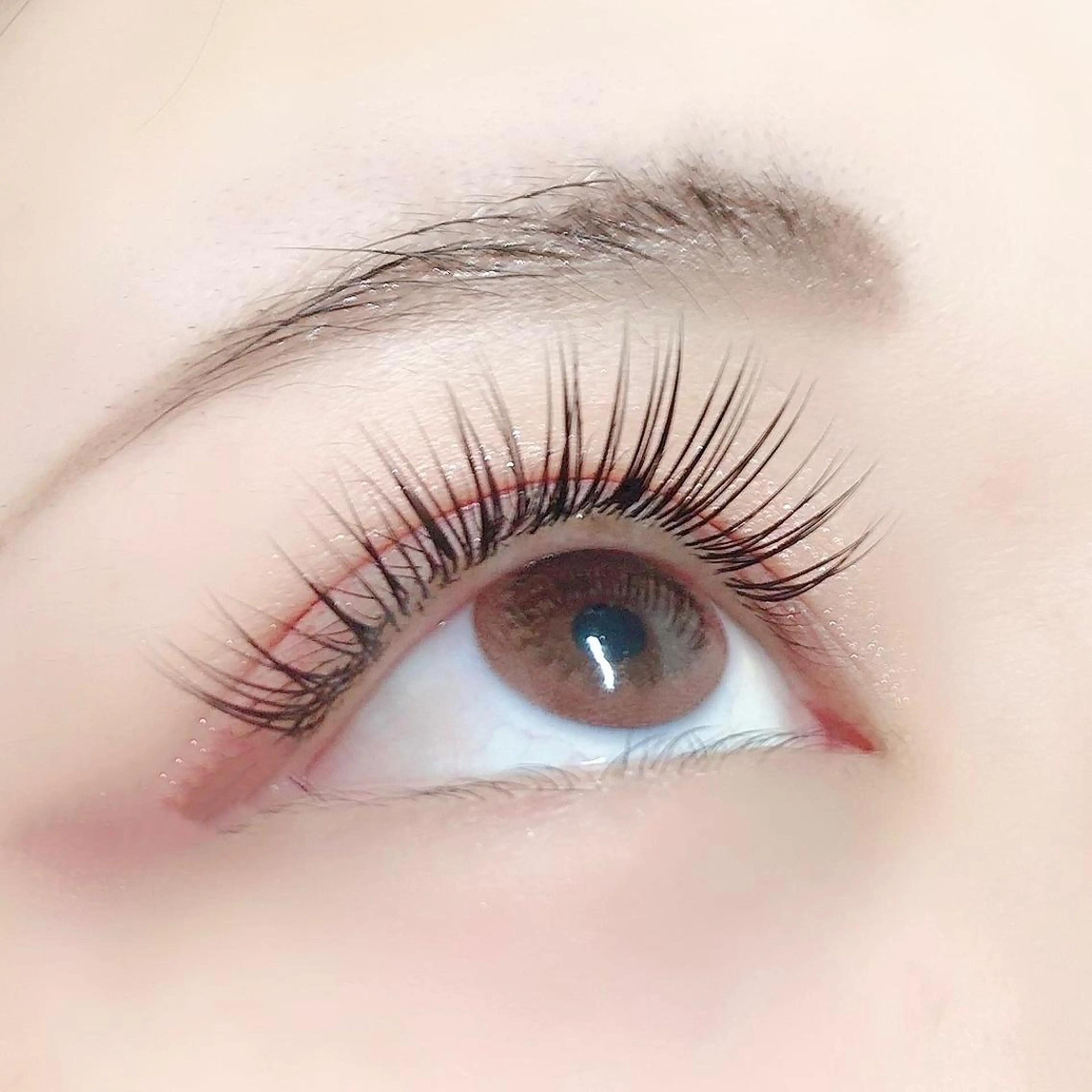 マツエク・マツパ マツエク li'l eyelashのマツエク・マツパデザイン