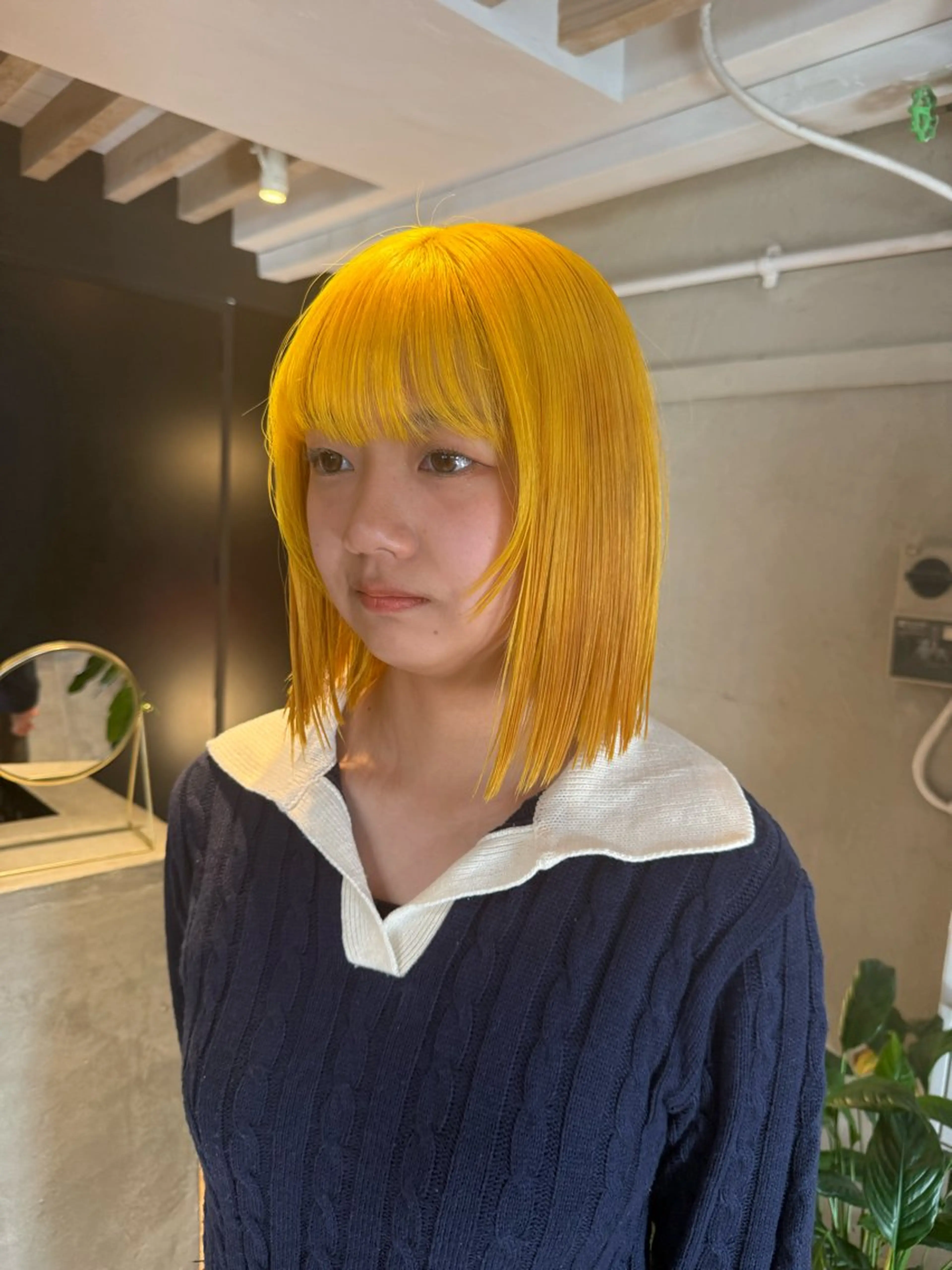 ミディアム カラー ヘアアレンジ ヘアカラー トリートメント ヘアセット 海外/ハイトーン🪽 ☯️ami☯️のヘアスタイル